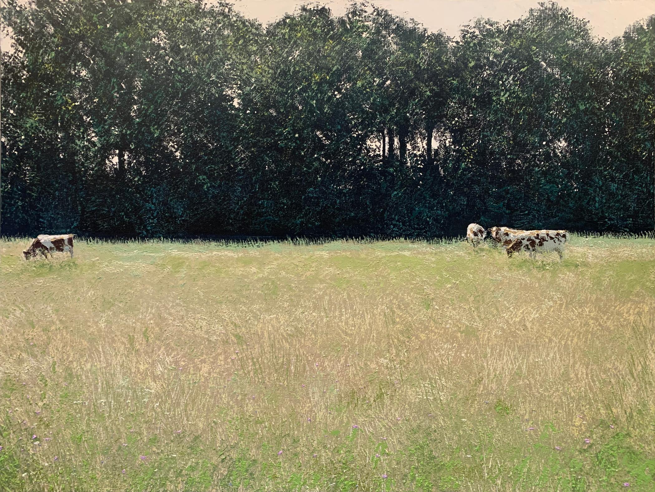Vaches en ete