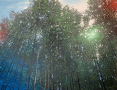 variaciones sobre un bosque