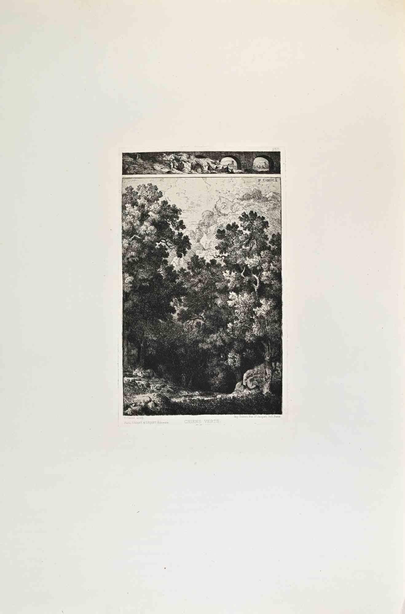 Benoît-Louis Prévost Figurative Print – Chiens Verts – Radierung von  Pontus Cinier – 1870er-Jahre