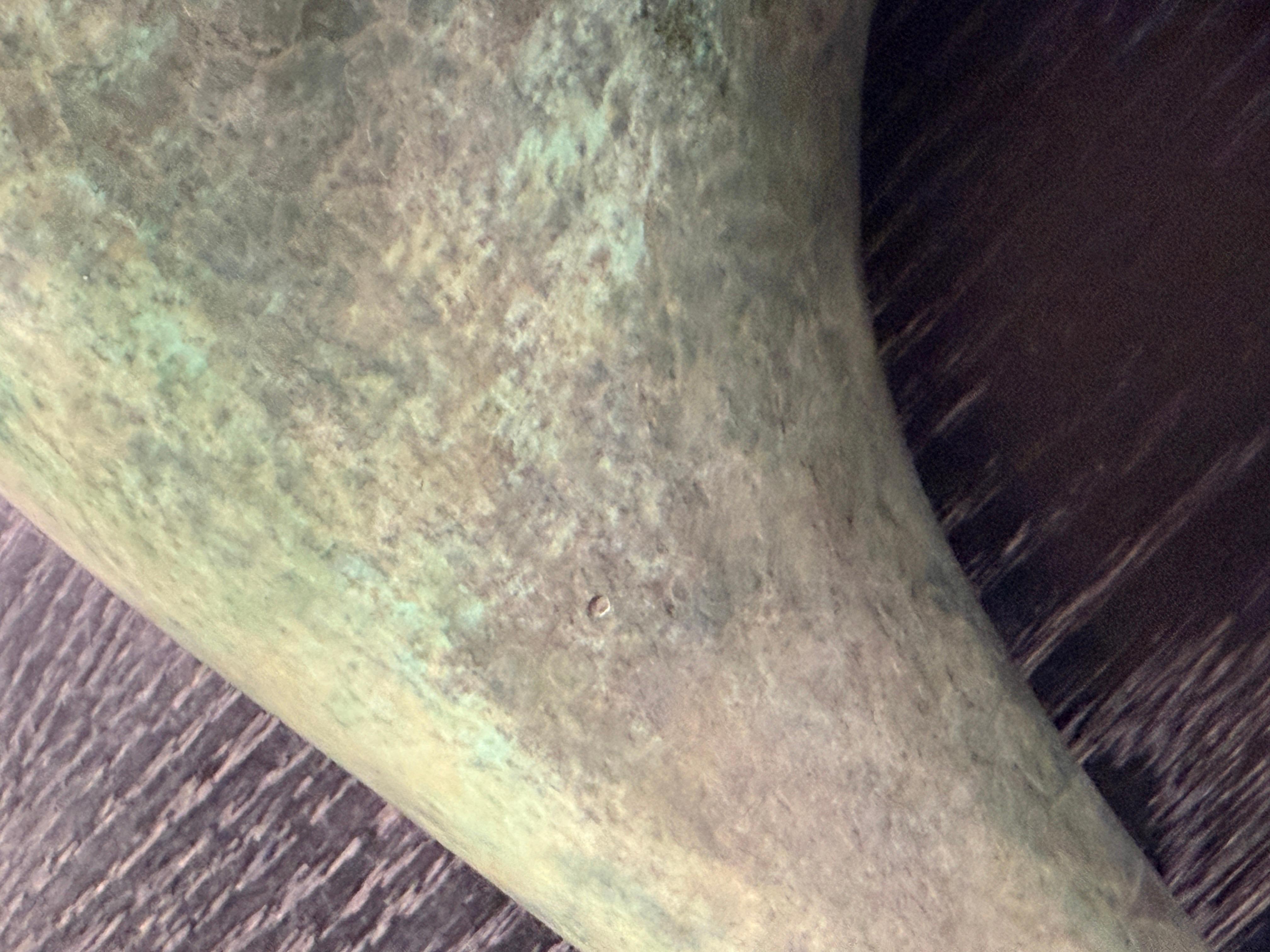 Ben Shalom 1993 Toro di Bronzo in vendita 8