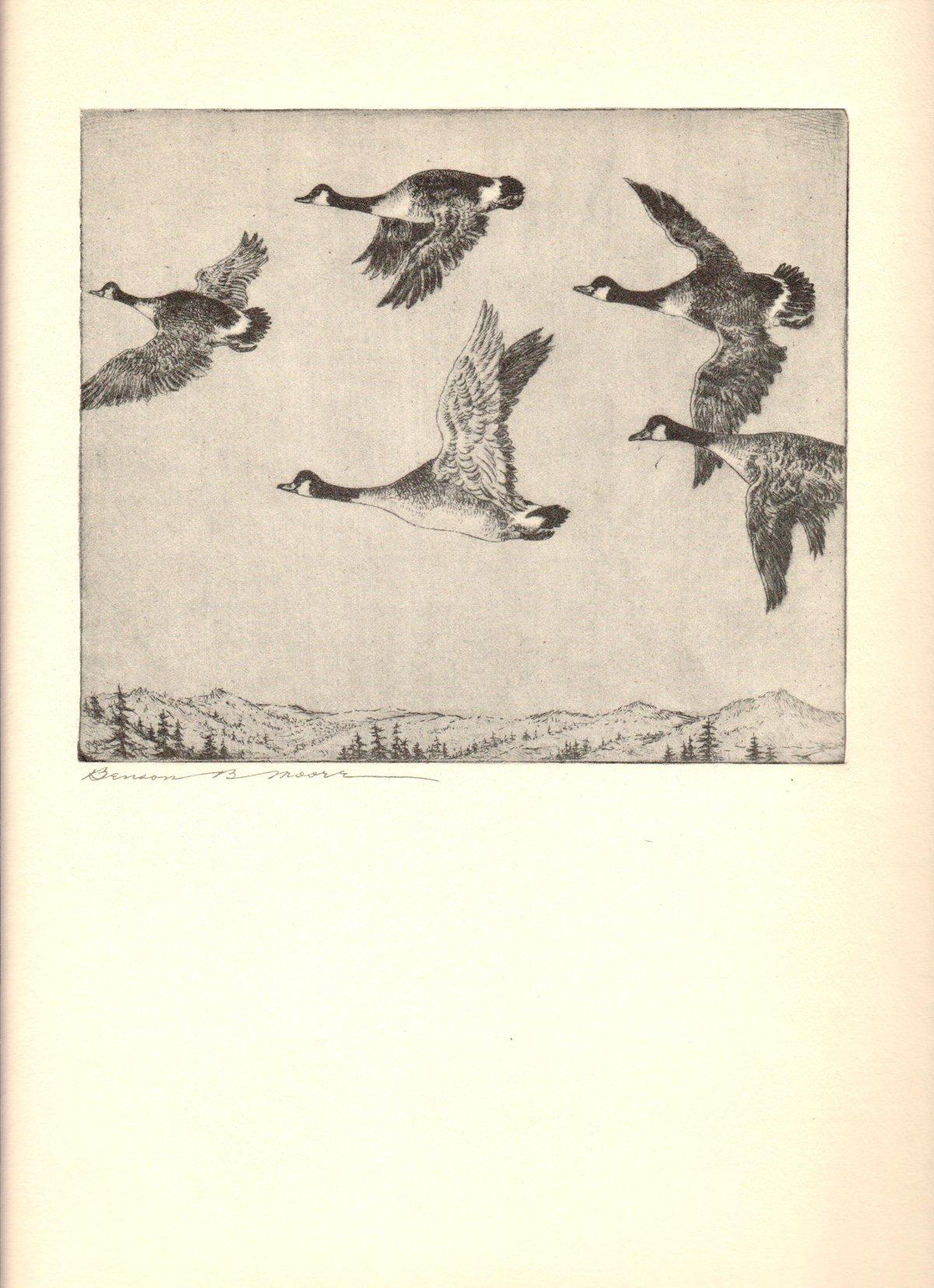 1936 Benson B Moore 'Southbound Geese' 