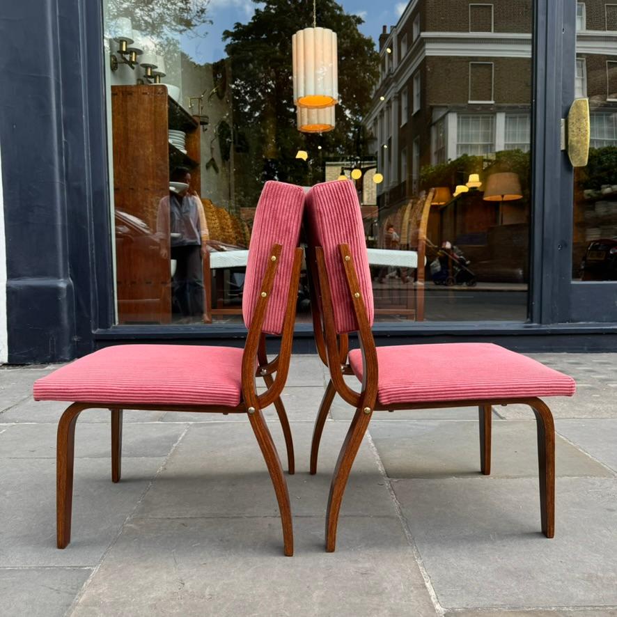 Bent Oak & Pink Cord Chairs, Dřevopodnik Holešov, Czechia, 1970s For Sale 6