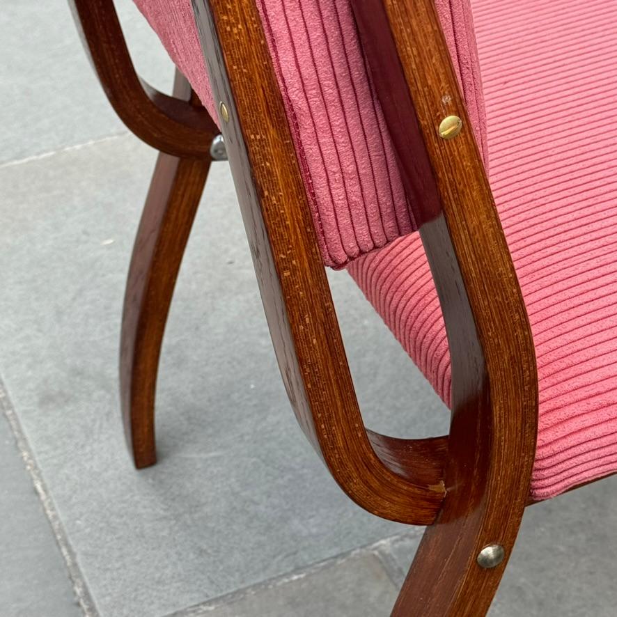 Bent Oak & Pink Cord Chairs, Dřevopodnik Holešov, Czechia, 1970s For Sale 2