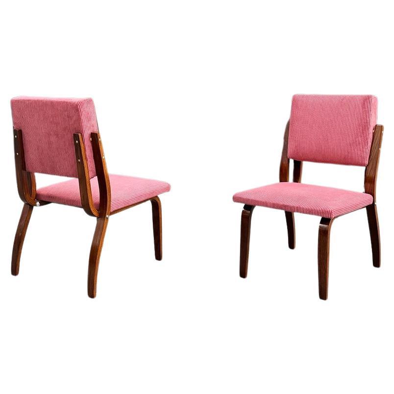 Bent Oak & Pink Cord Chairs, Dřevopodnik Holešov, Czechia, 1970s