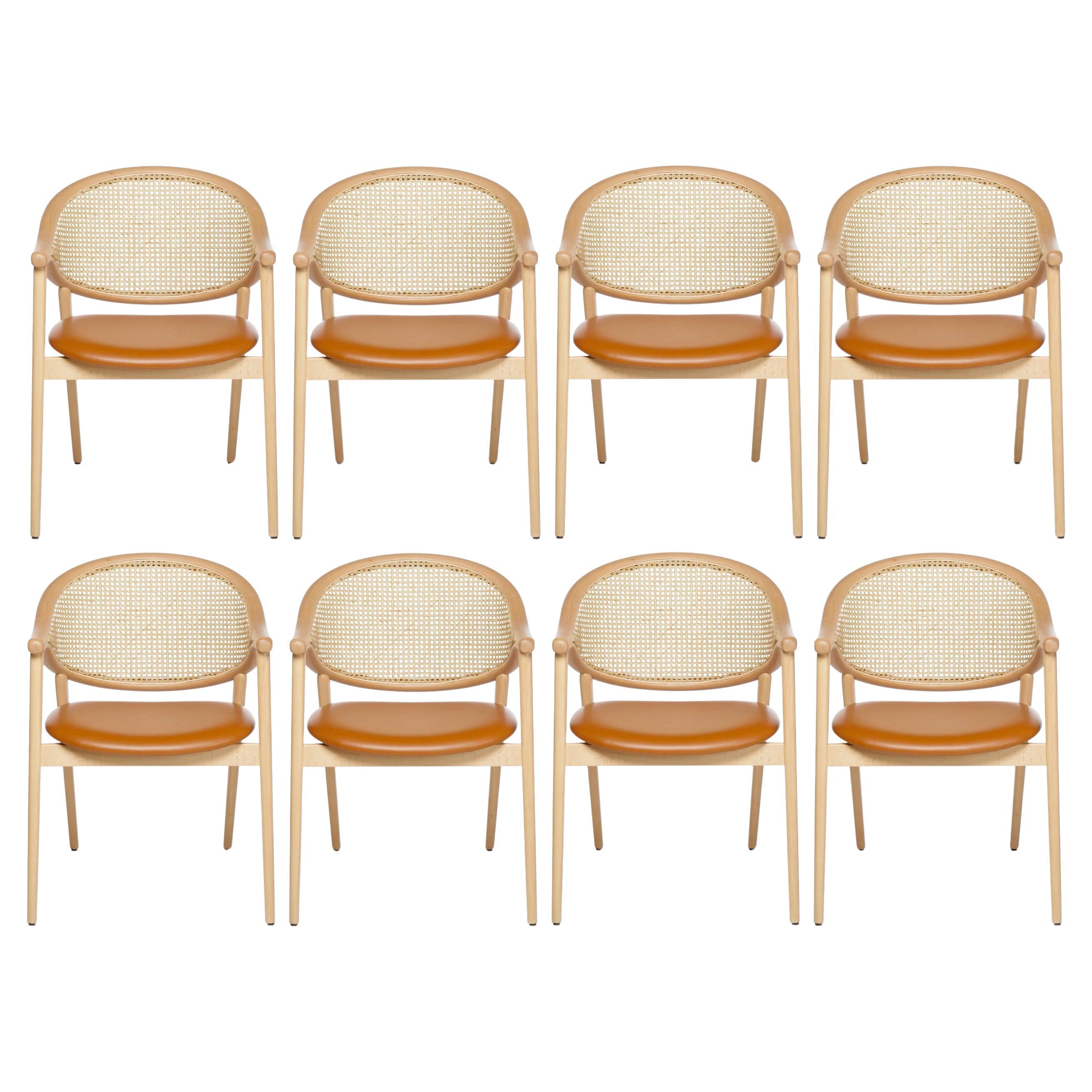 Bent Wood Dining Chair With Rattan Cane Backrest, Set of 8
