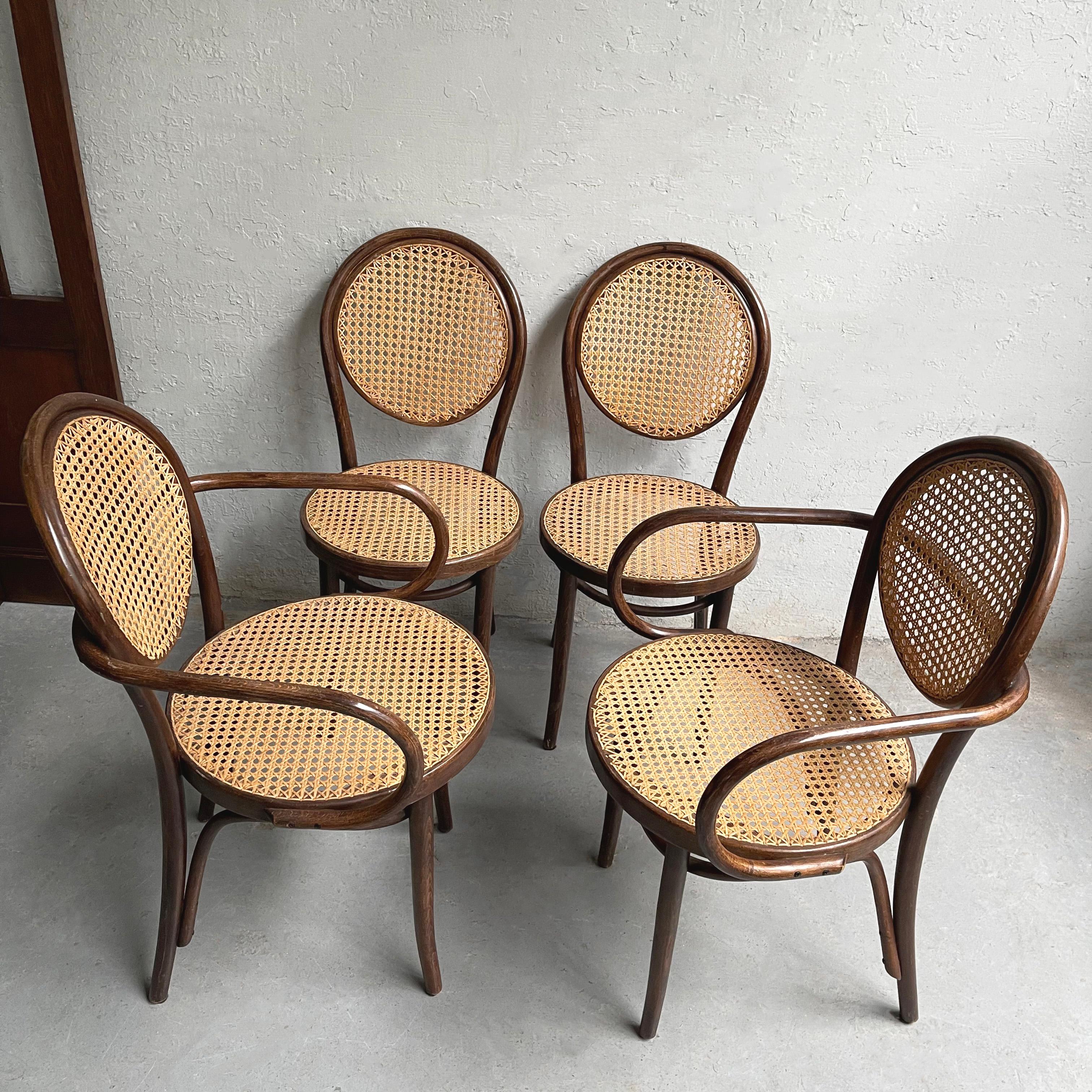 Vienna Secession Bentwood and Cane Bistro Dining Chairs Attributed to Thonet