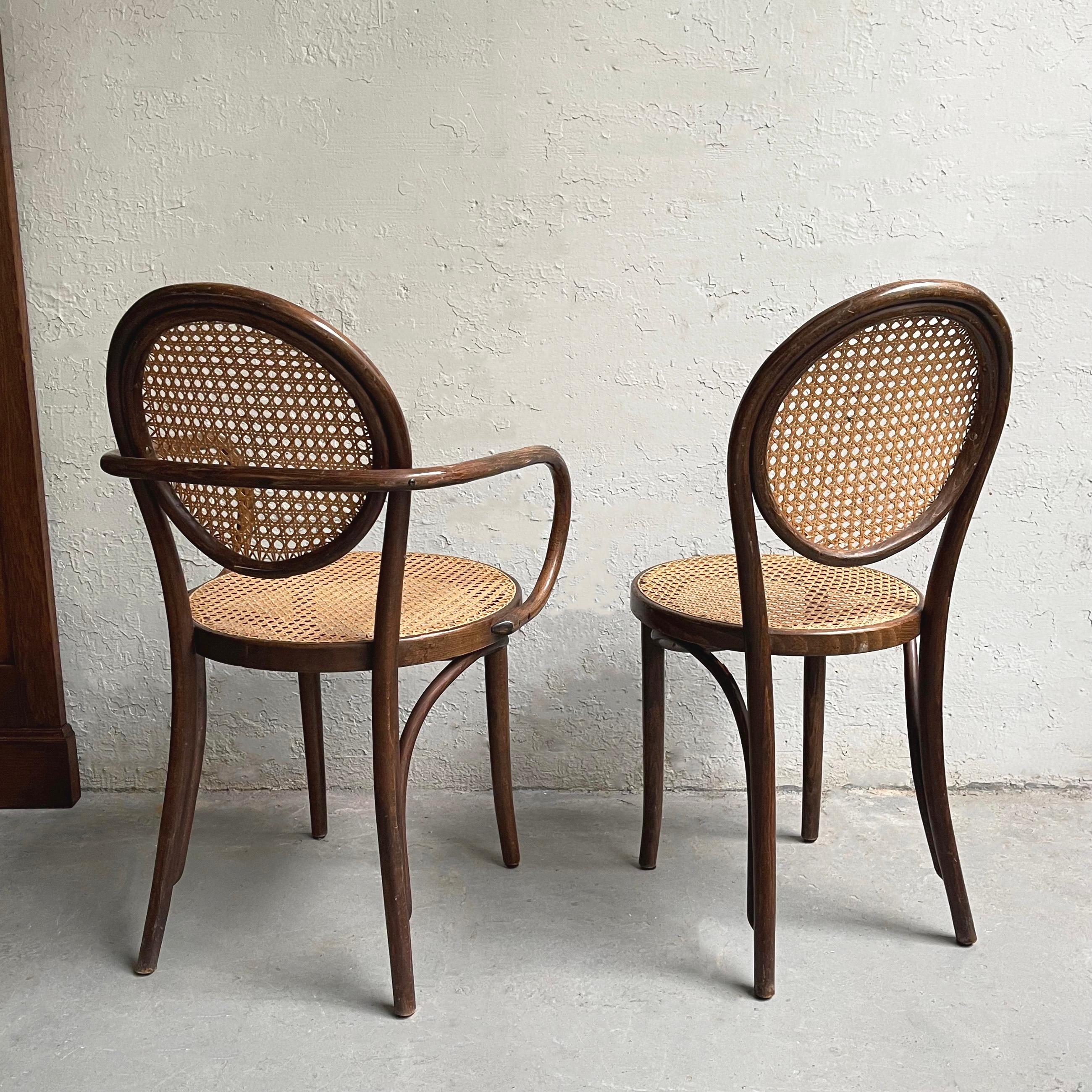 Bentwood and Cane Bistro Dining Chairs Attributed to Thonet 1