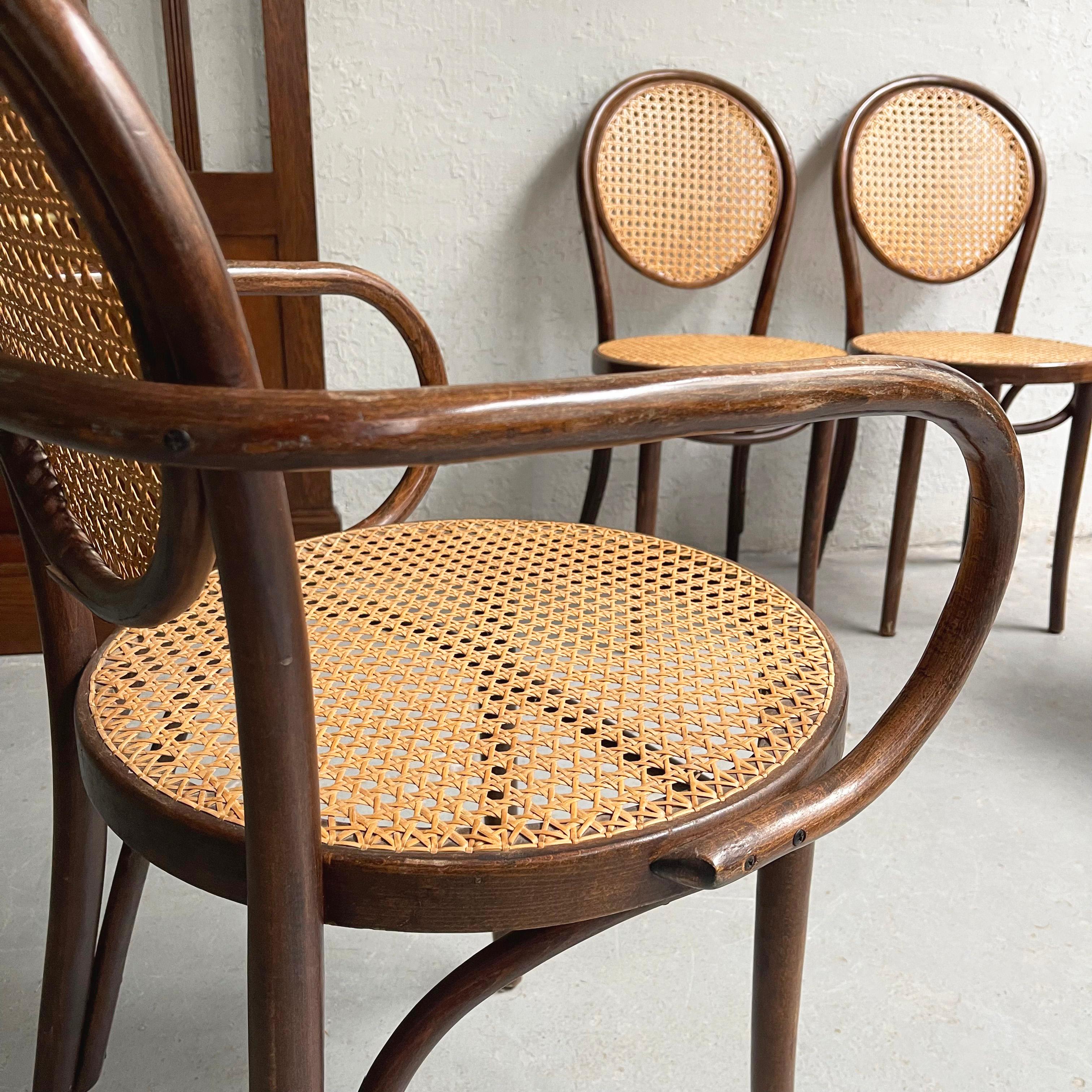 Bentwood and Cane Bistro Dining Chairs Attributed to Thonet 2