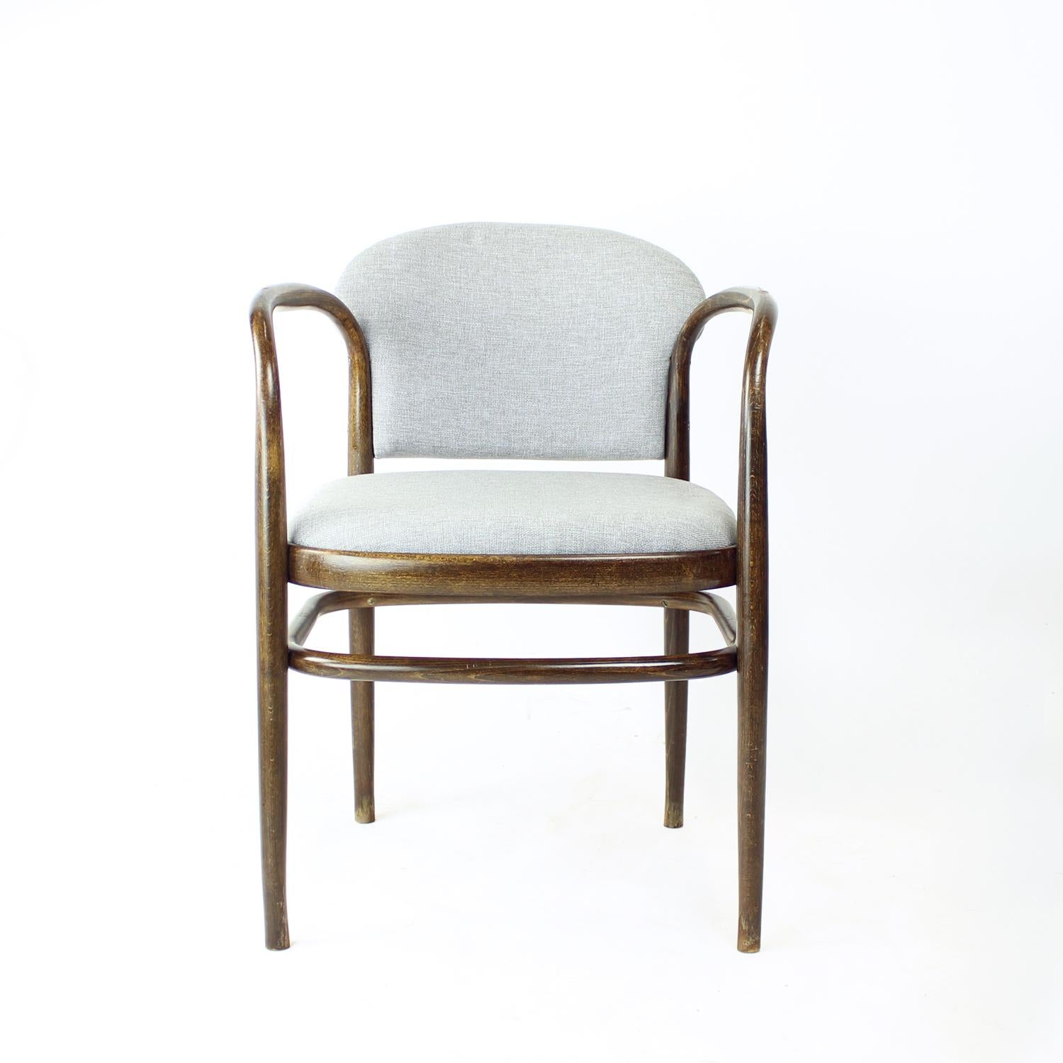 Schöner, eleganter Sessel aus einer Bugholzkonstruktion aus Eiche mit Sitz und Rückenlehne aus hellgrauem Polster. Die Polsterung ist neu. Das Holz ist im Originalzustand, mit leichter Patina auf der Oberfläche, sieht aber einfach umwerfend aus. Ein