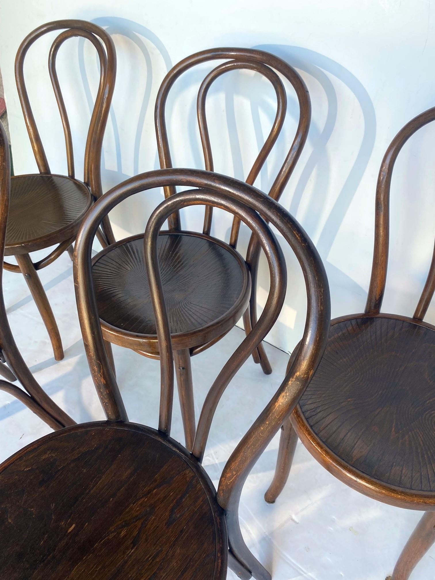 A set of six vintage bentwood-style dining chairs.
