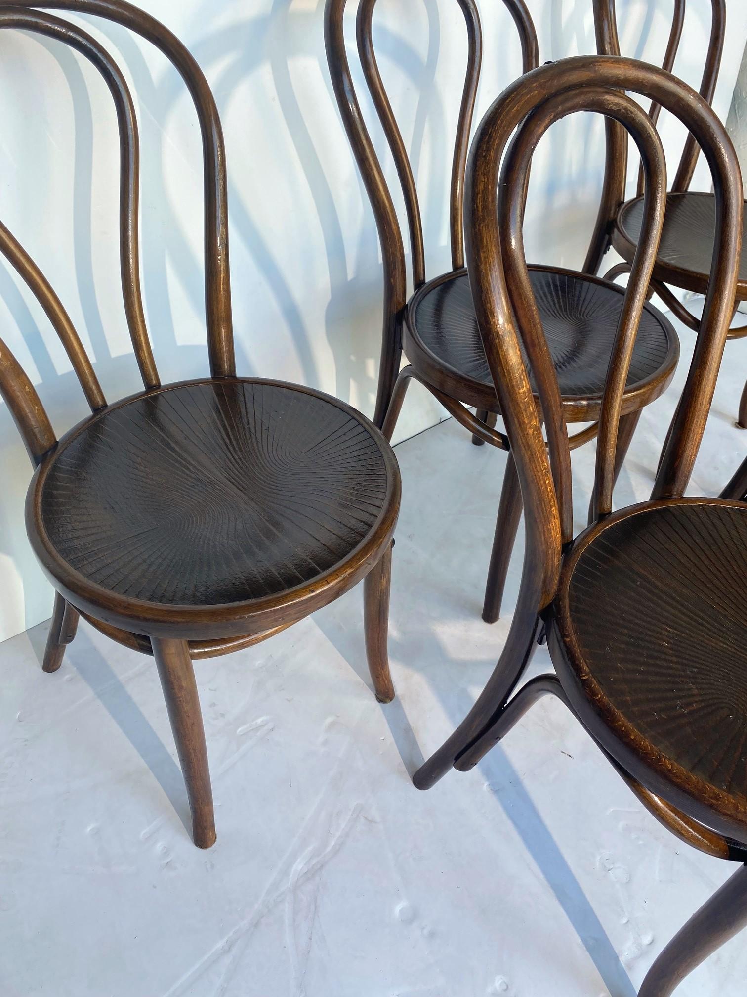 Polish Bentwood Bistro Dining Chairs Set of 6
