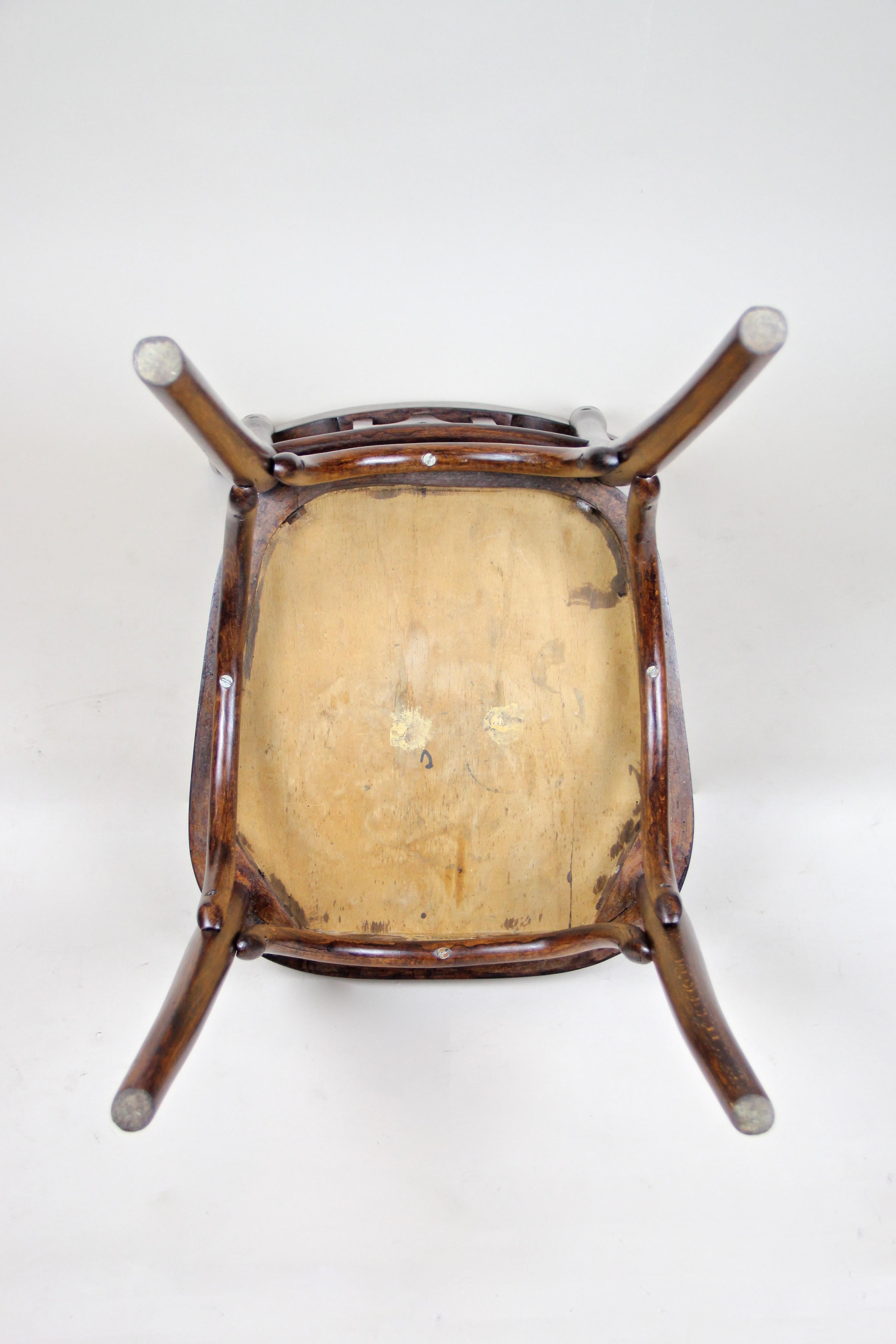 Bentwood Chair by Fischel Art Nouveau, Austria, circa 1905 4