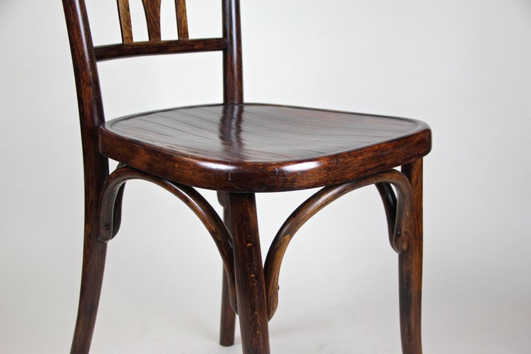 Bentwood Chair by Fischel Art Nouveau, Austria, circa 1905 at 1stDibs