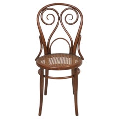 Bentwood Chair By Harnisch & Co. Wiena 1880