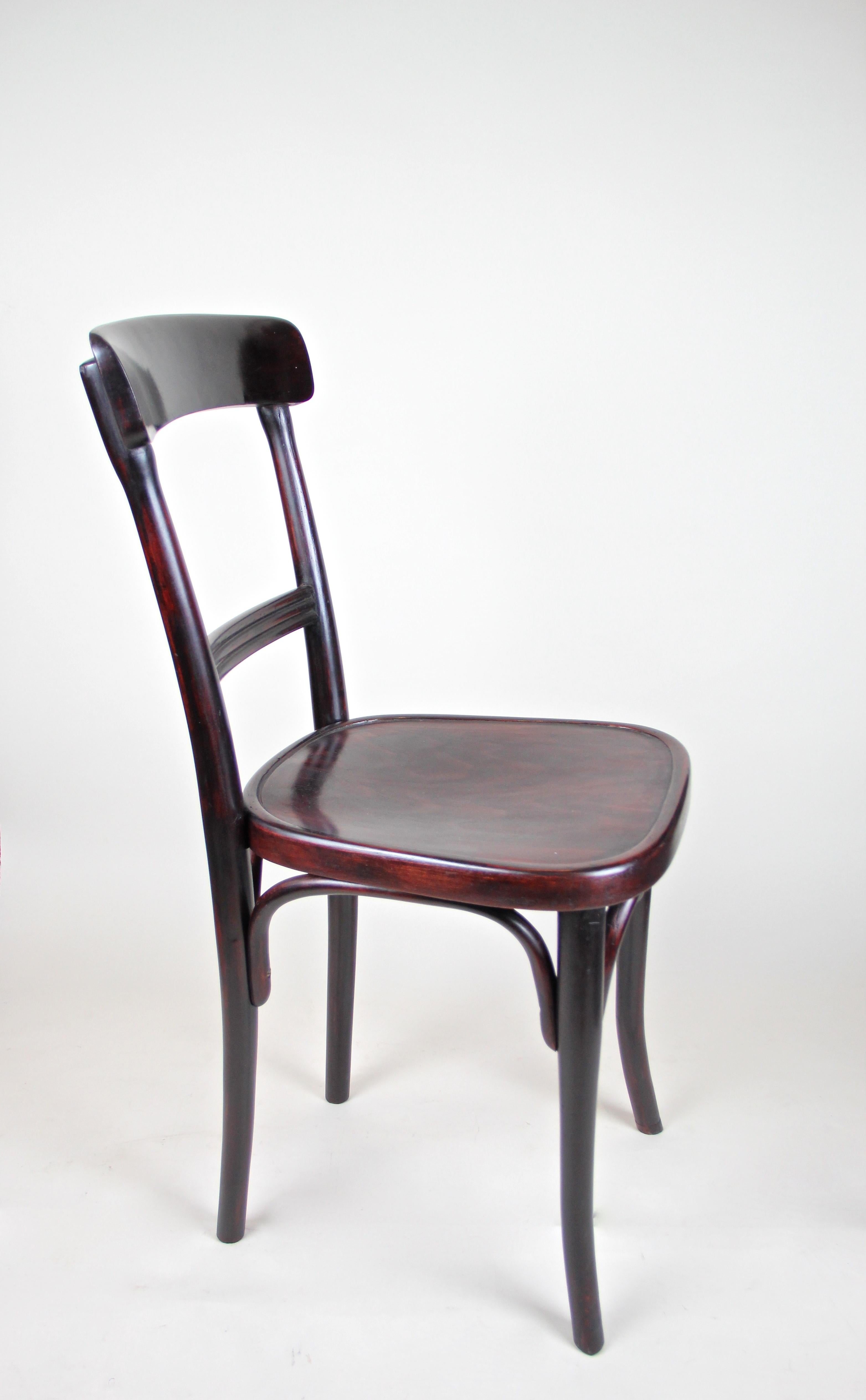 20th Century Bentwood Chair by Thonet Vienna Mahogany Toned, Austria, circa 1910