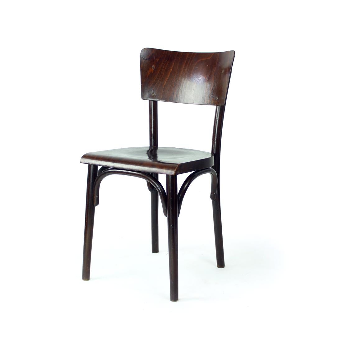Stuhl aus Bugholz, Tschechoslowakei, 1950er Jahre (Moderne der Mitte des Jahrhunderts) im Angebot