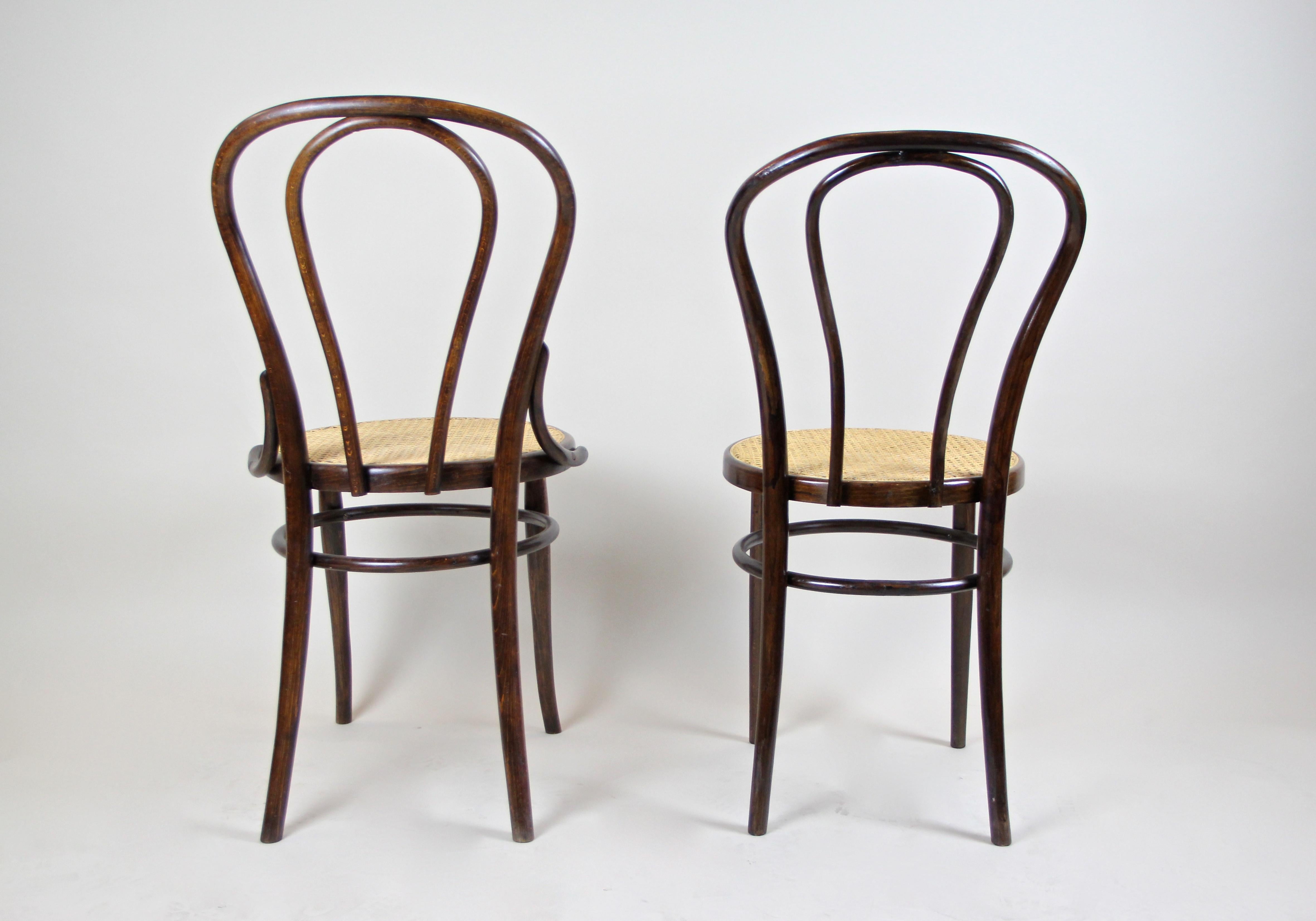 Bentwood Chairs Set of Five by Fischel Art Nouveau, Austria, circa 1910 2
