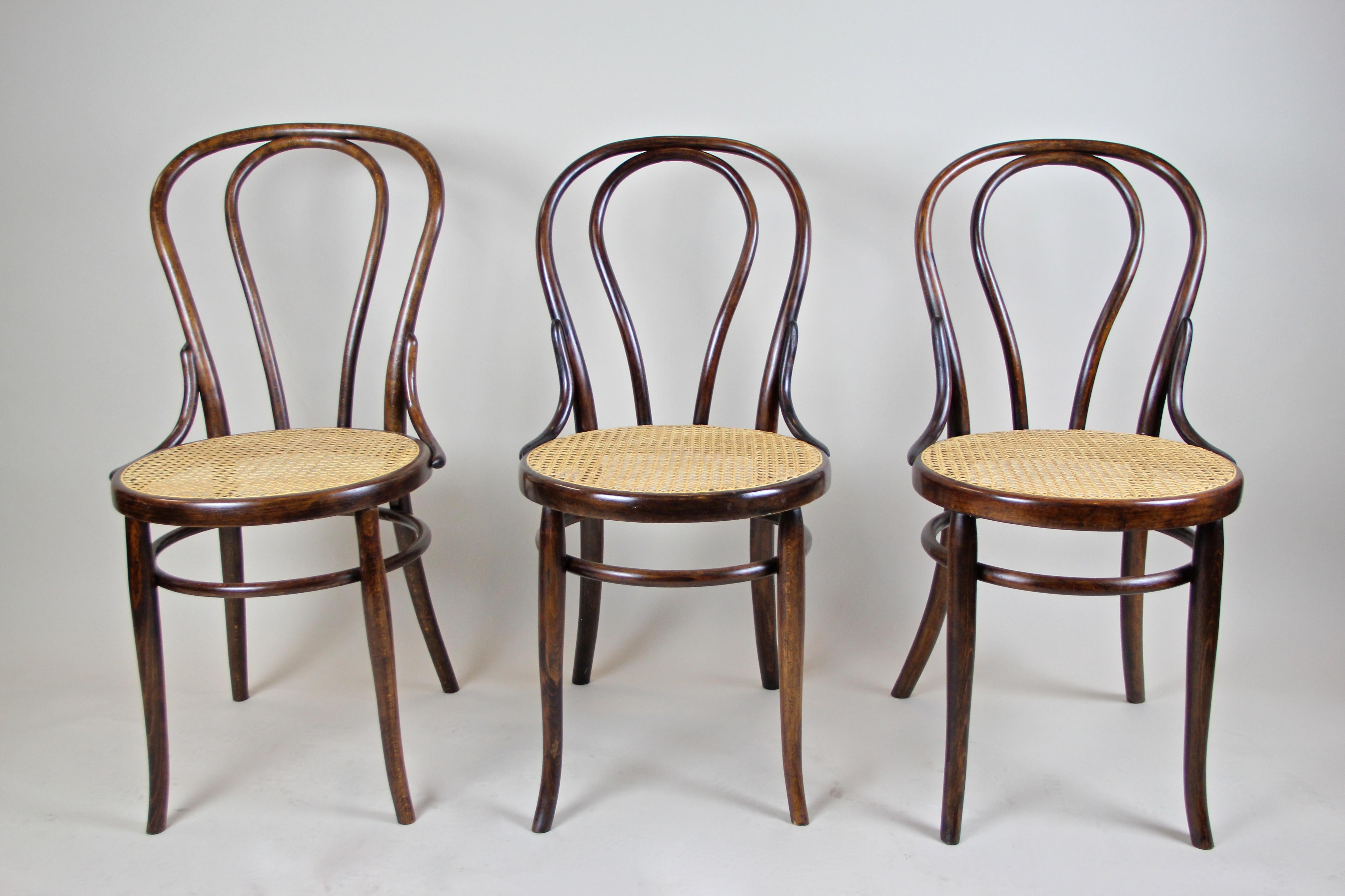 Elegant set of five bentwood chairs made by the renown company of Fischel in Vienna Austria, circa 1910. These beautiful Art Nouveau chairs show a very similar design like the famous Thonet coffeehouse chairs No. 14. Made of bent beechwood and toned