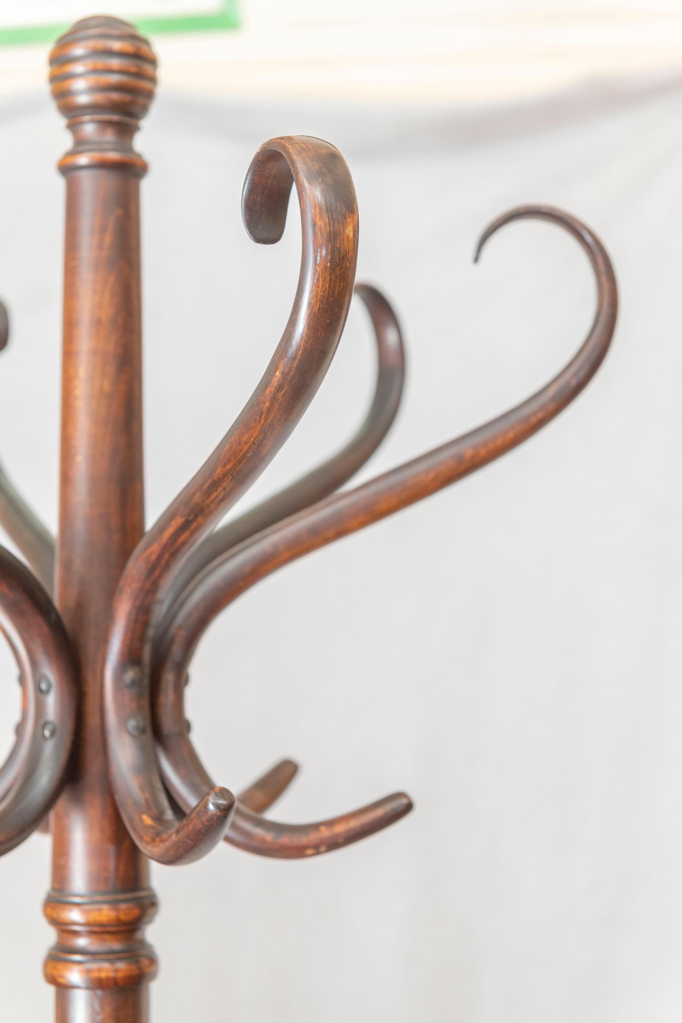 Hand-Crafted Bentwood Coat Rack, circa 1890