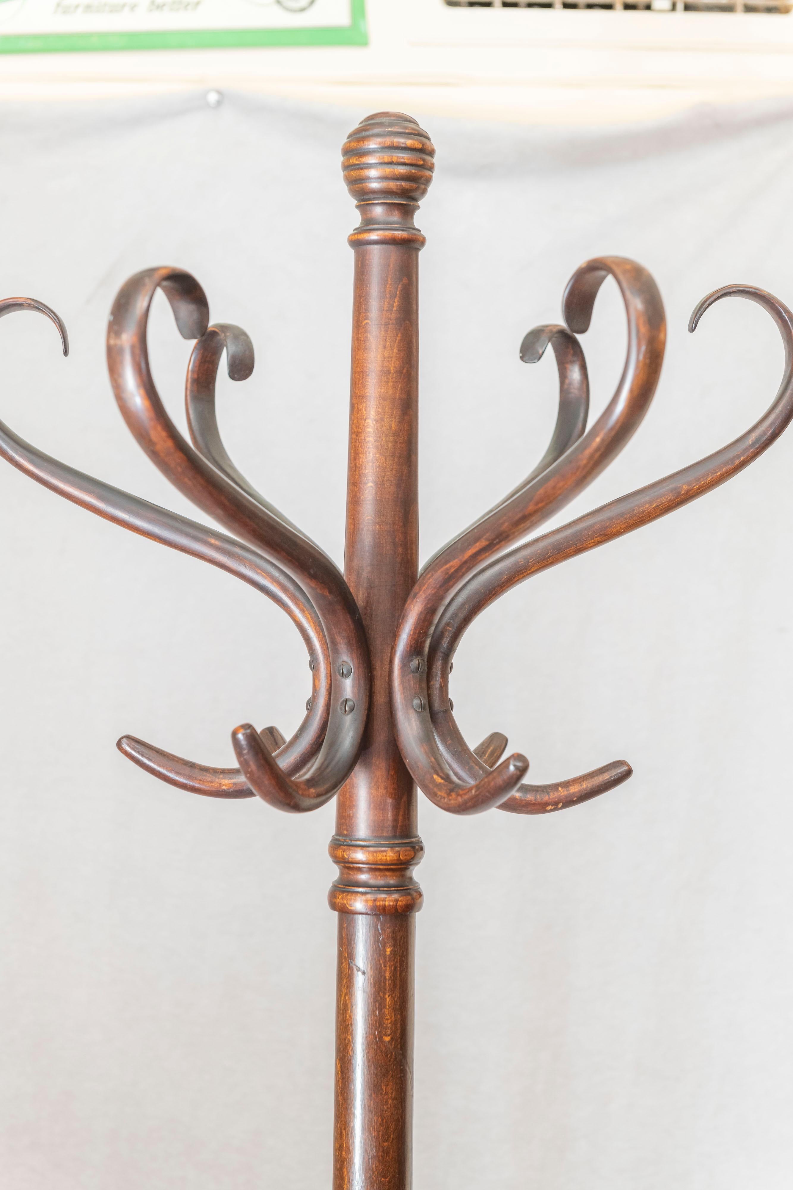 Bentwood Coat Rack, circa 1890 In Good Condition In Petaluma, CA