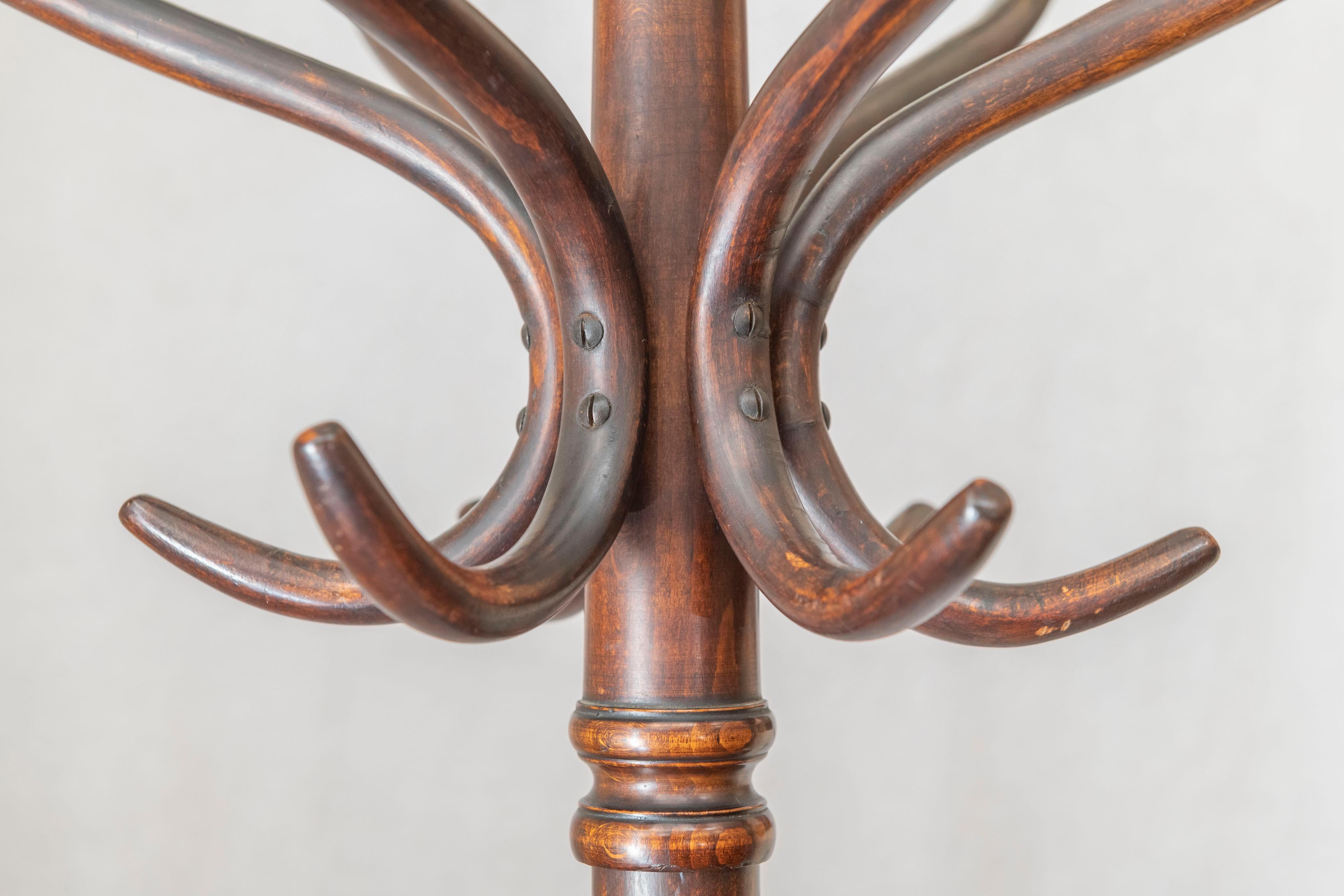 19th Century Bentwood Coat Rack, circa 1890