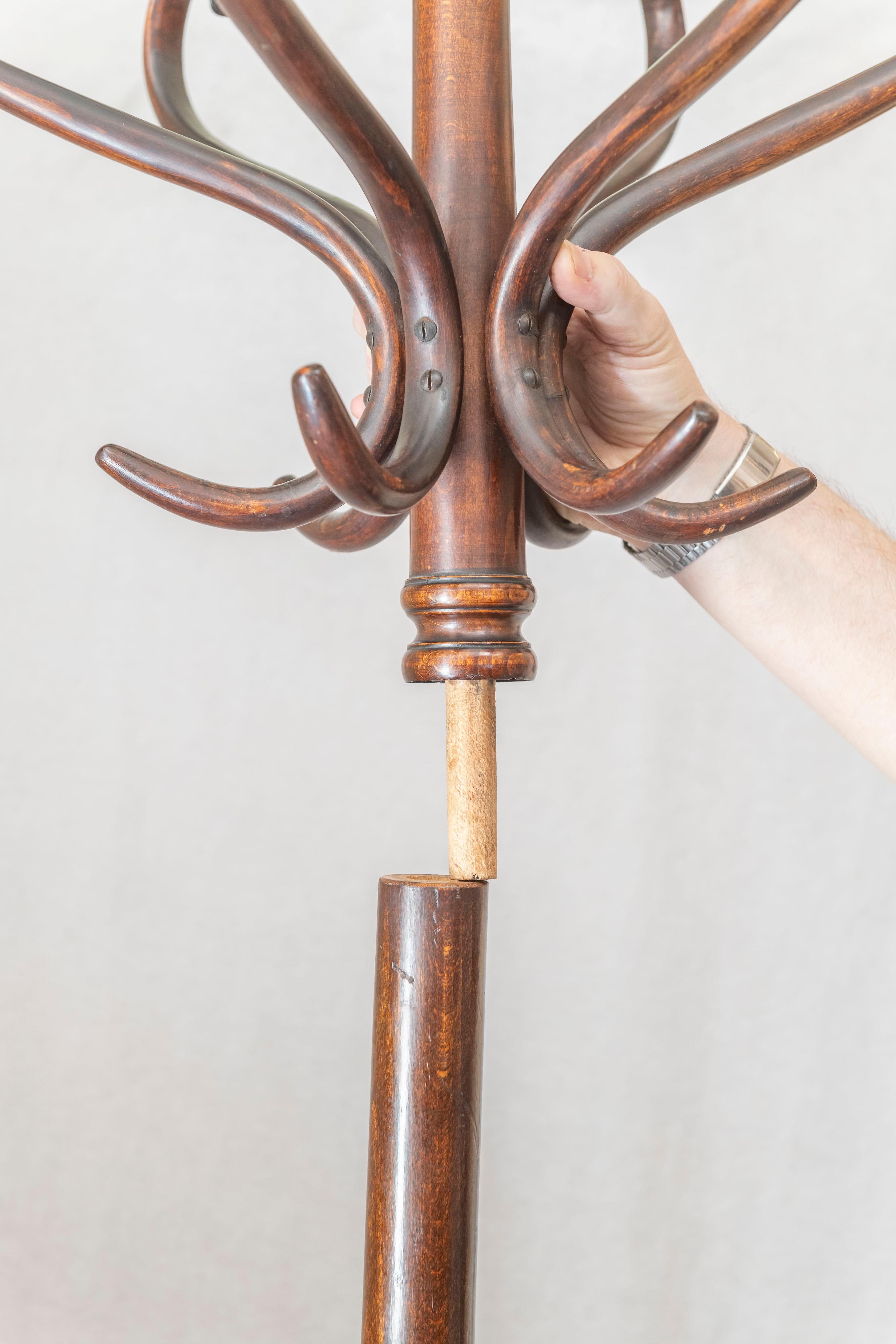 Bentwood Coat Rack, circa 1890 1