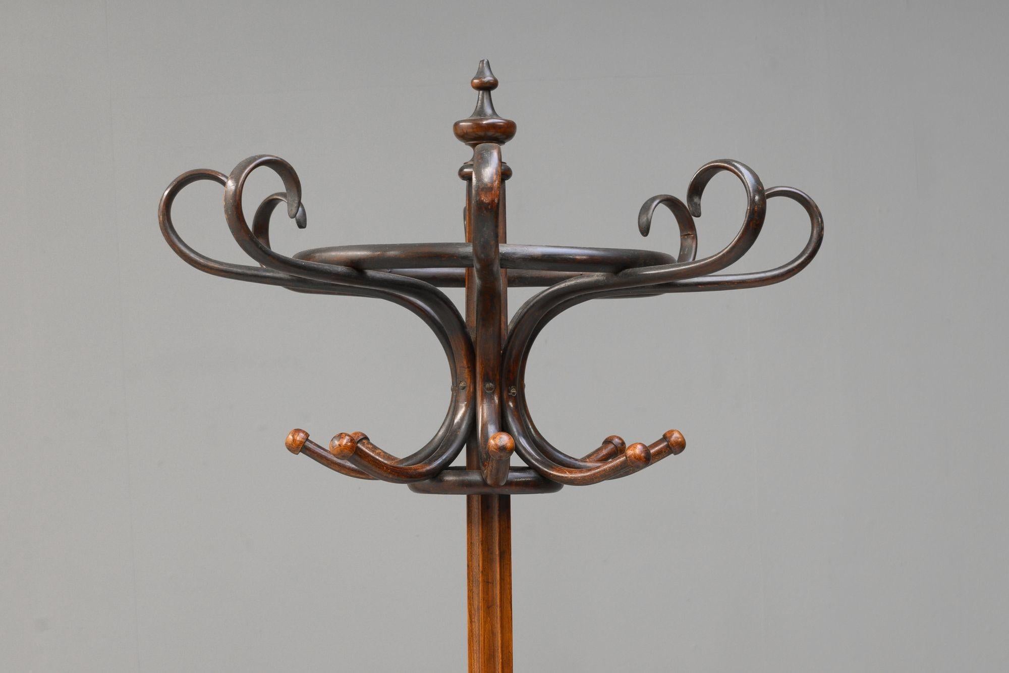 Large bentwood coat / hat stand. Circa 1900.
H 214cm x W 80cm x D 80cm