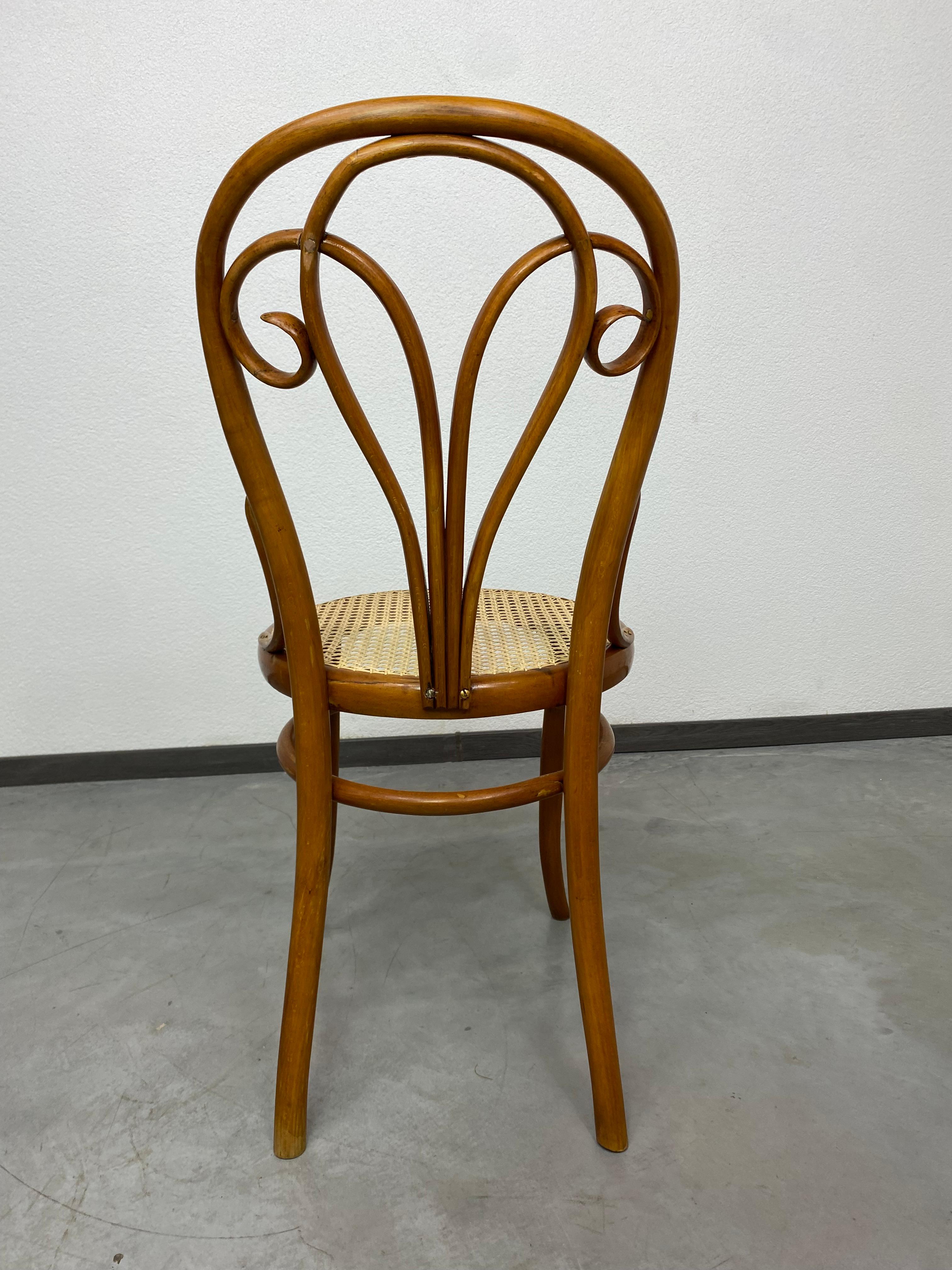 Bentwood dining chair by Löbl Wieisskirchen For Sale 3