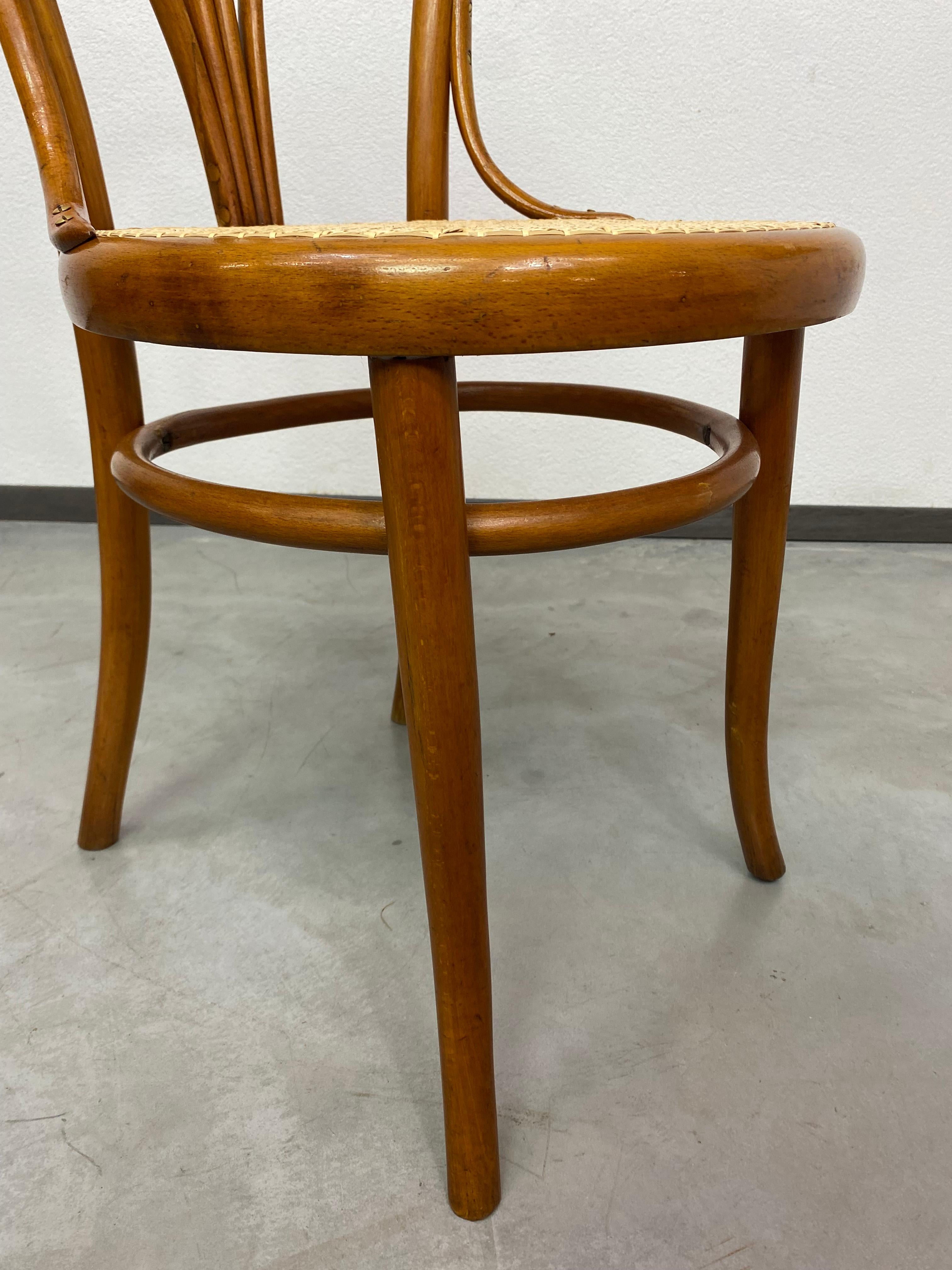 Early 20th Century Bentwood dining chair by Löbl Wieisskirchen For Sale