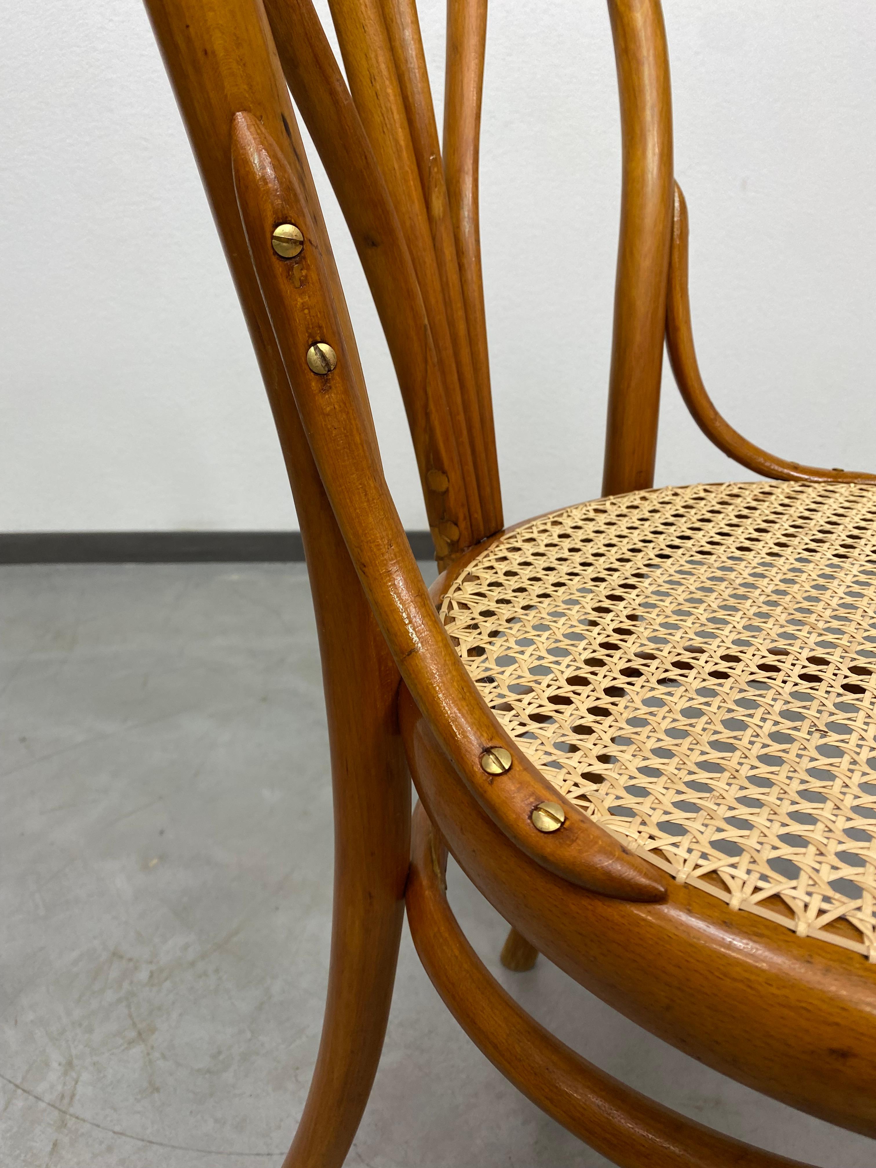 Bentwood dining chair by Löbl Wieisskirchen For Sale 1