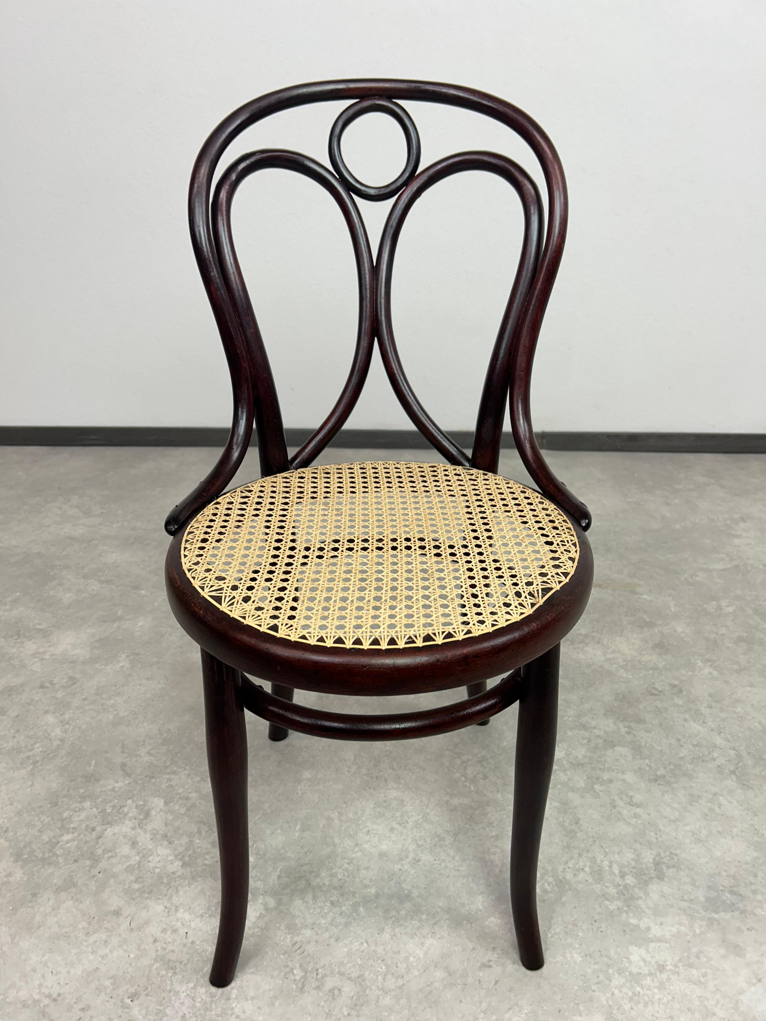 Bugholz-Esszimmerstuhl Nr.19 von Thonet. Professionell gebeizt und neu poliert.
