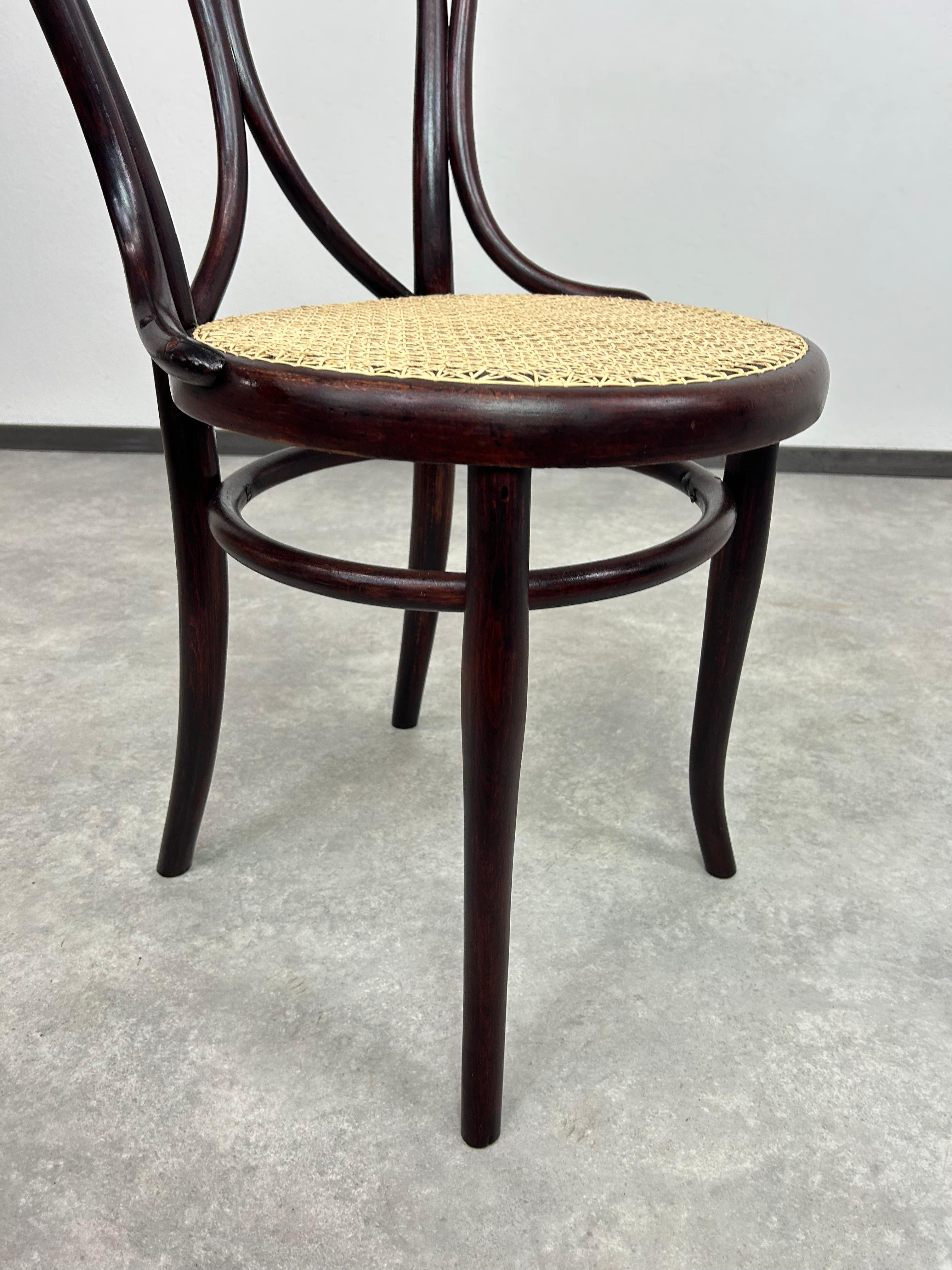 Esszimmerstuhl aus Bugholz, Nr.19 von Thonet im Zustand „Hervorragend“ im Angebot in Banská Štiavnica, SK