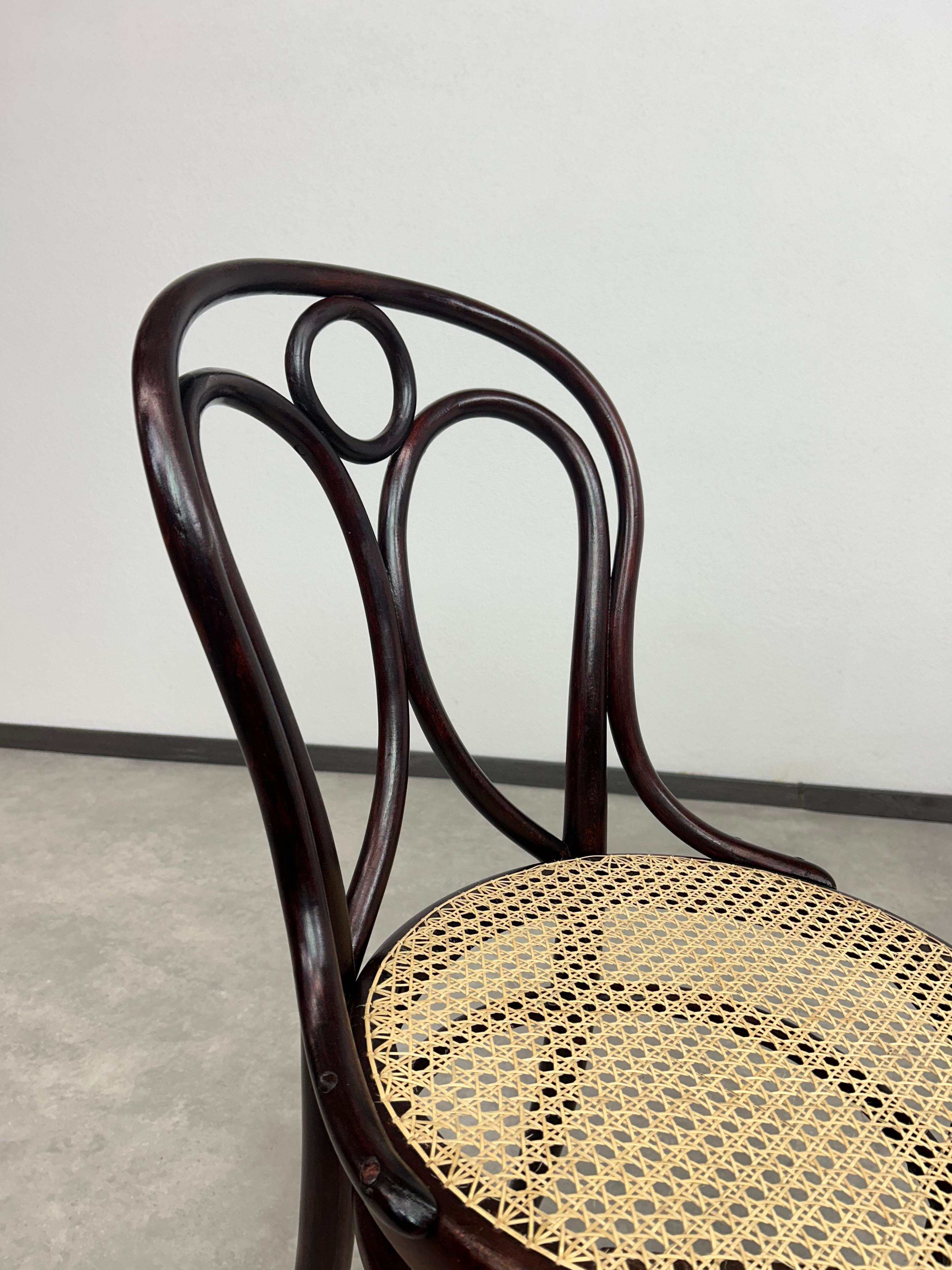 Esszimmerstuhl aus Bugholz, Nr.19 von Thonet (Frühes 20. Jahrhundert) im Angebot