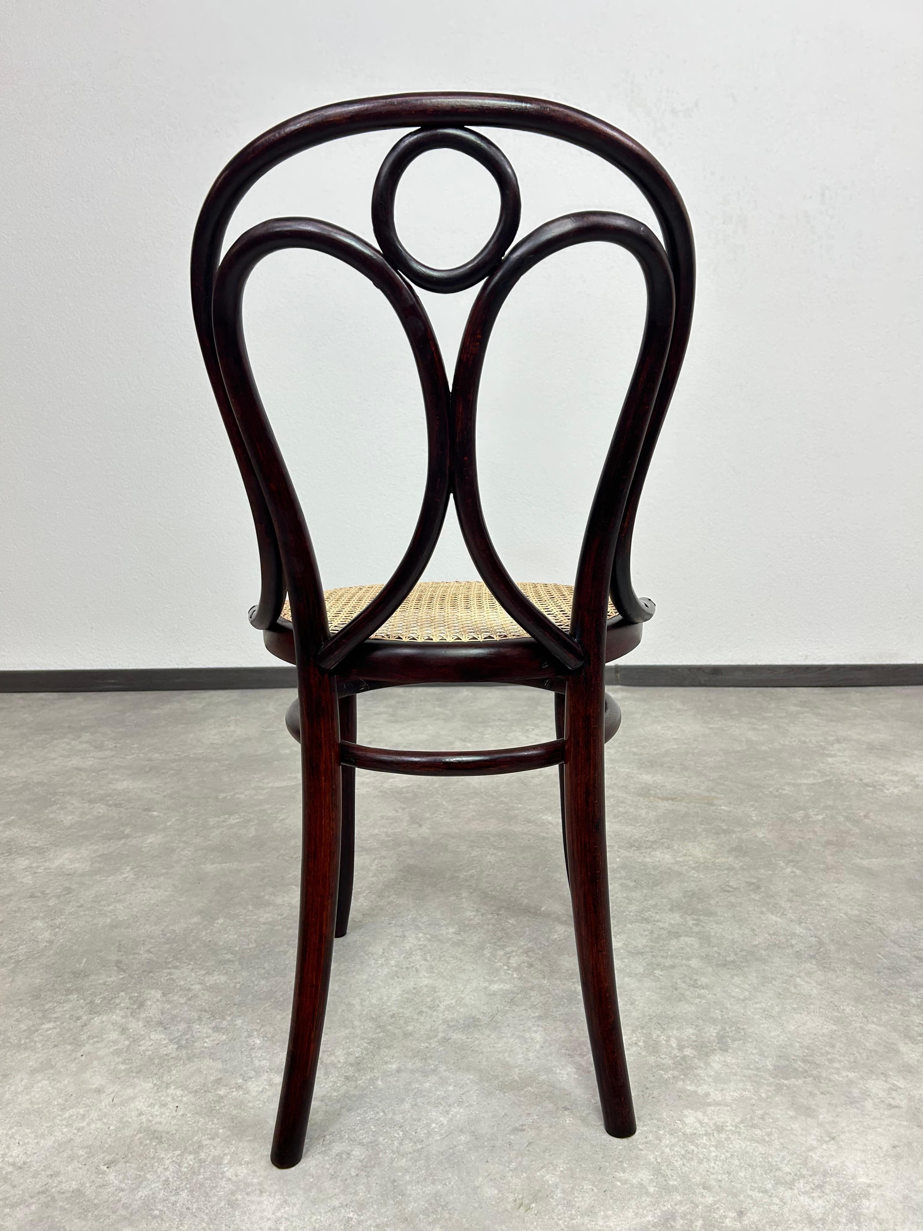Esszimmerstuhl aus Bugholz, Nr.19 von Thonet (Rattan) im Angebot