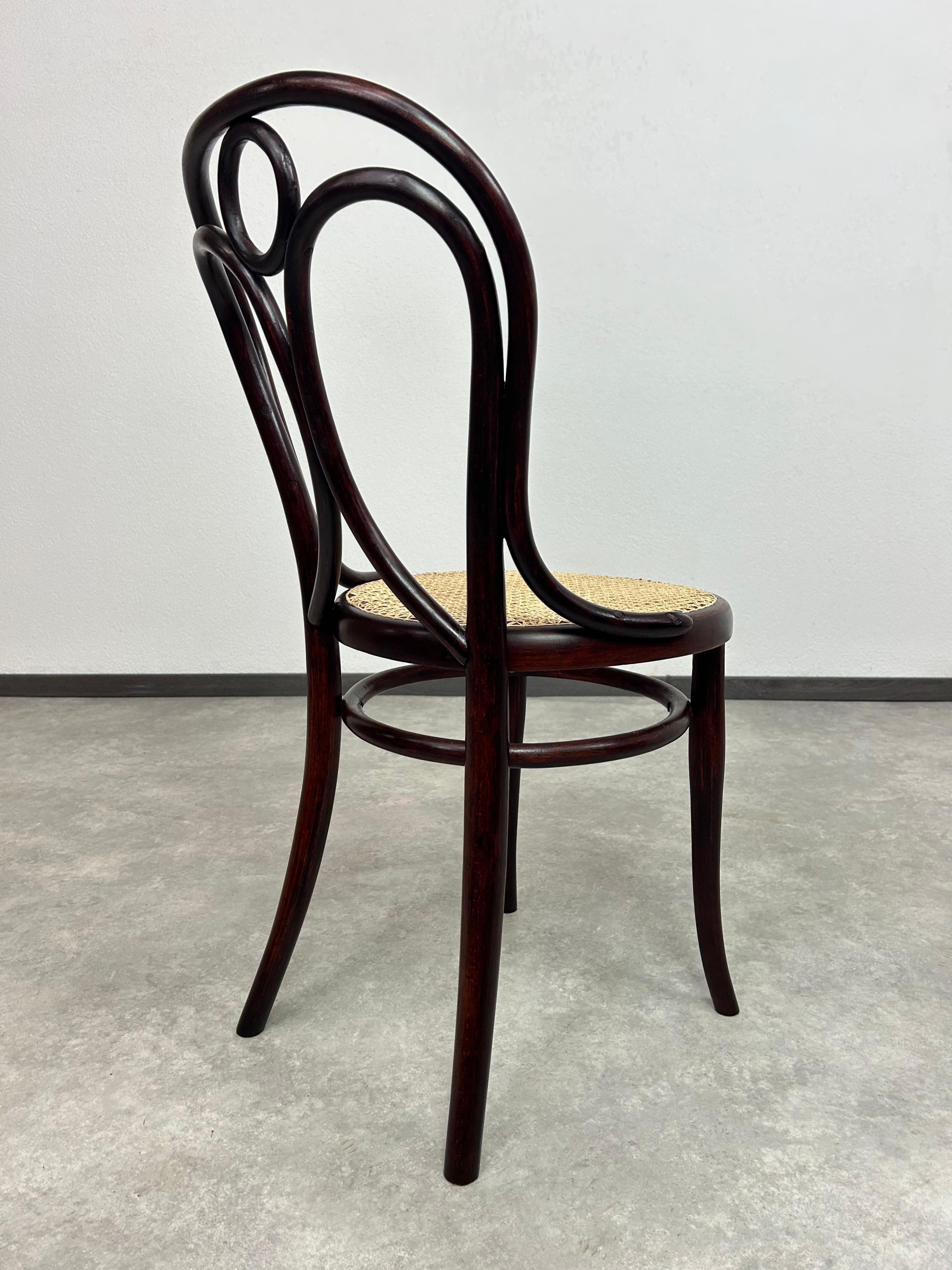 Esszimmerstuhl aus Bugholz, Nr.19 von Thonet im Angebot 1