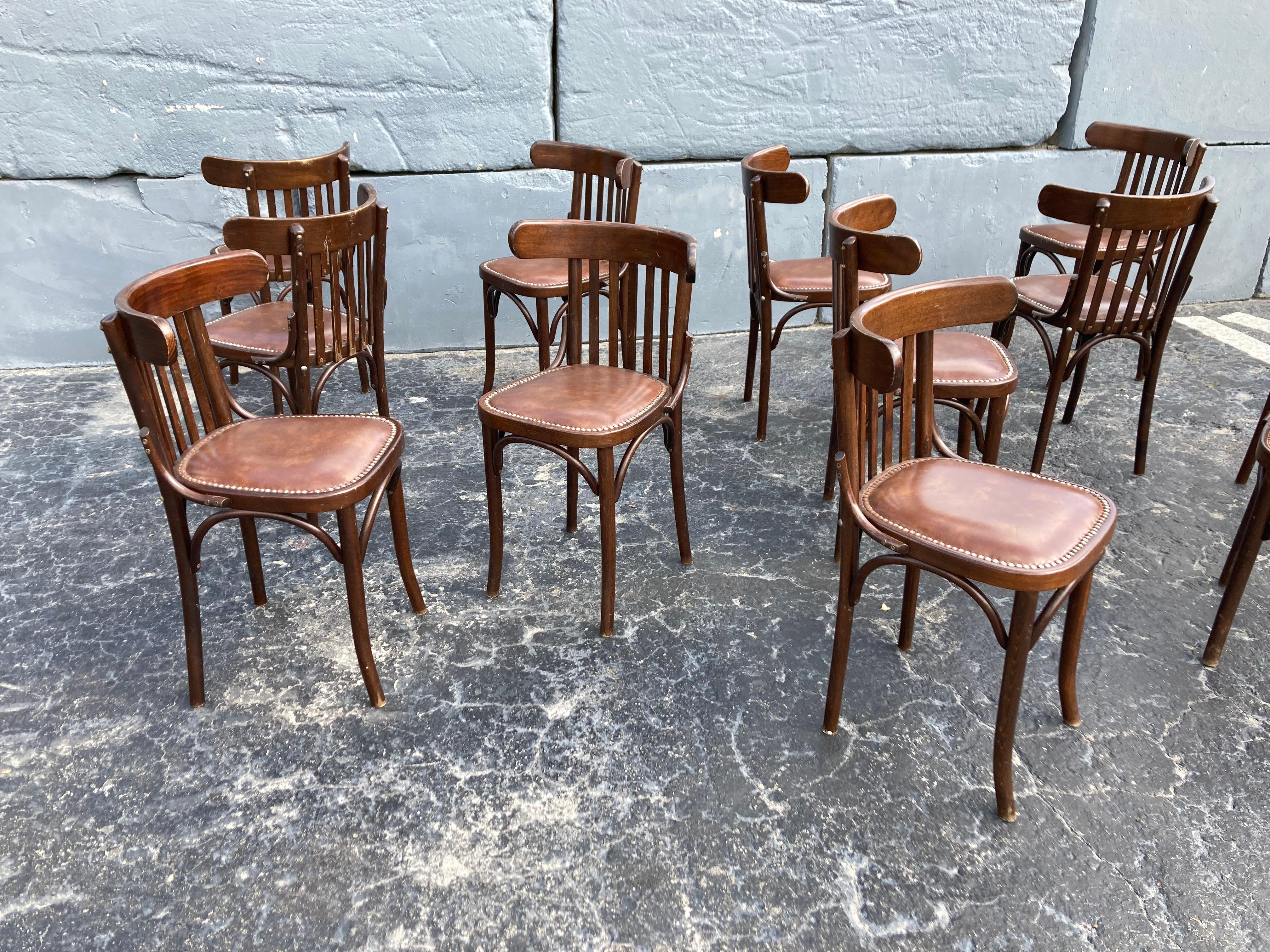 Six Bentwood Dining Chairs by Berc Antoine, Cafe, France, Thonet Style 3