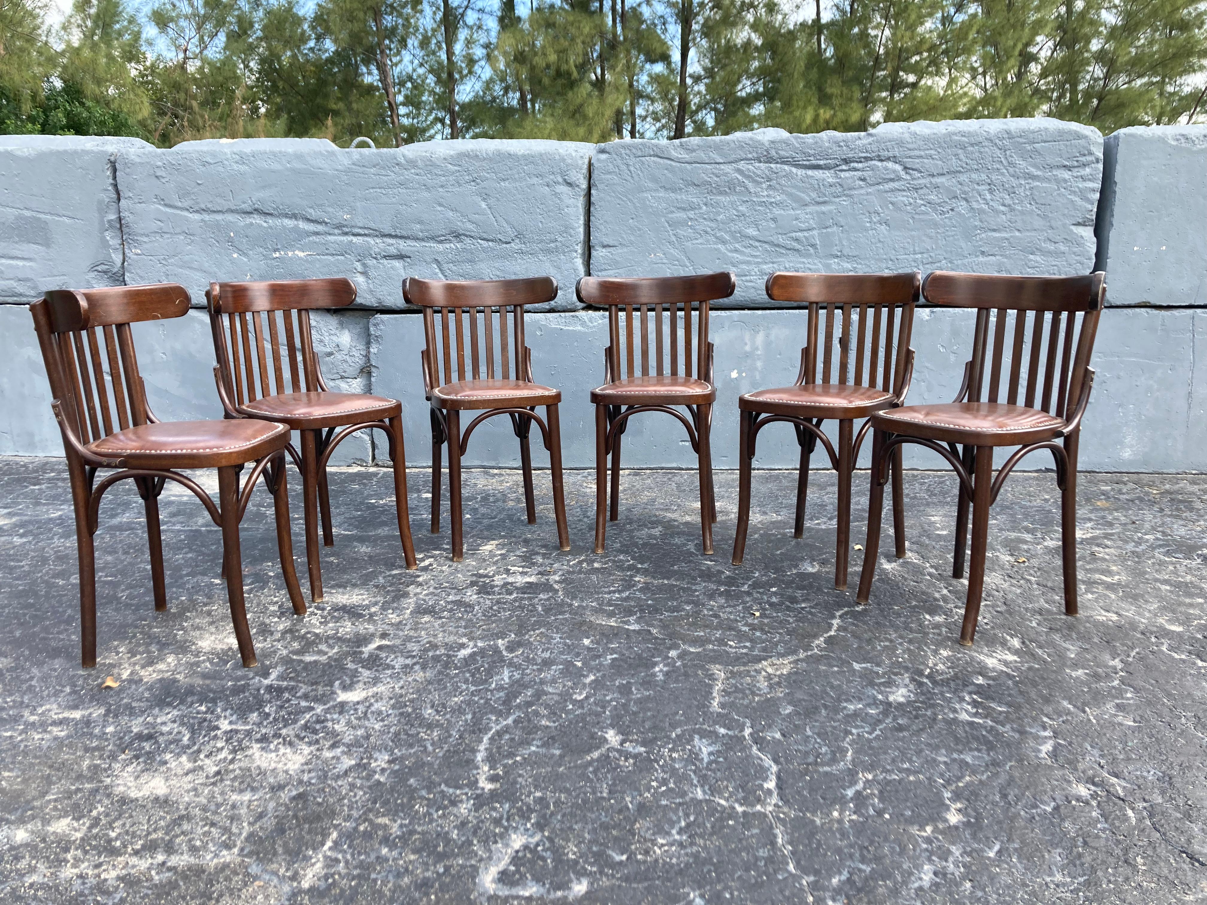 Six Bentwood Dining Chairs by Berc Antoine, Cafe, France, Thonet Style 1