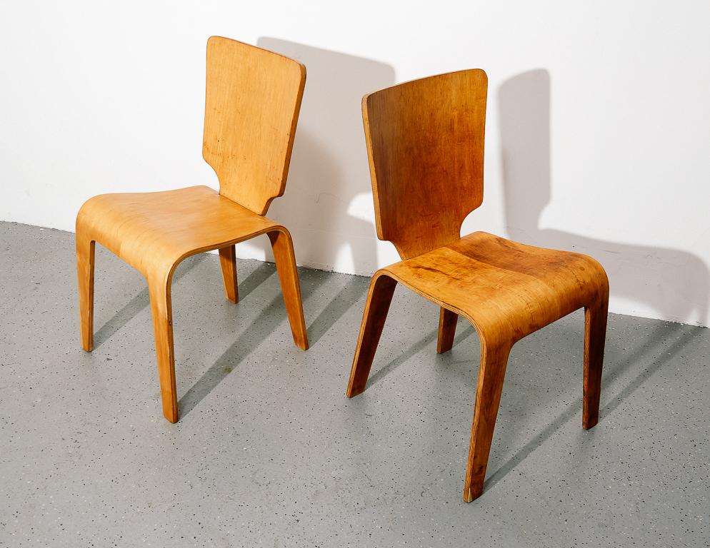 Mid-Century Modern Bentwood Dining Chairs by Thaden Jordan