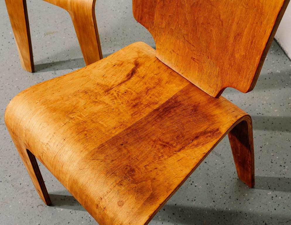 Bentwood Dining Chairs by Thaden Jordan 4