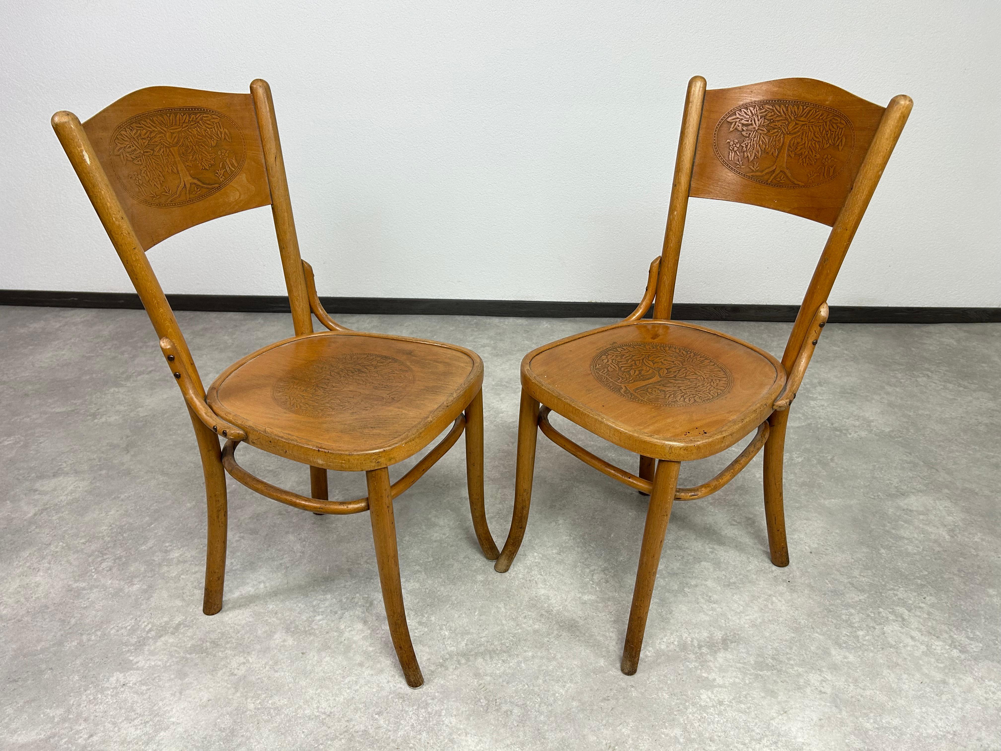 Chaises de salle à manger en bois courbé de Thonet en très bel état d'origine avec des signes d'utilisation.