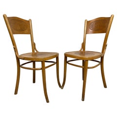 Chaises de salle à manger en bois courbé de Thonet