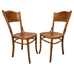 Chaises de salle à manger en bois courbé de Thonet