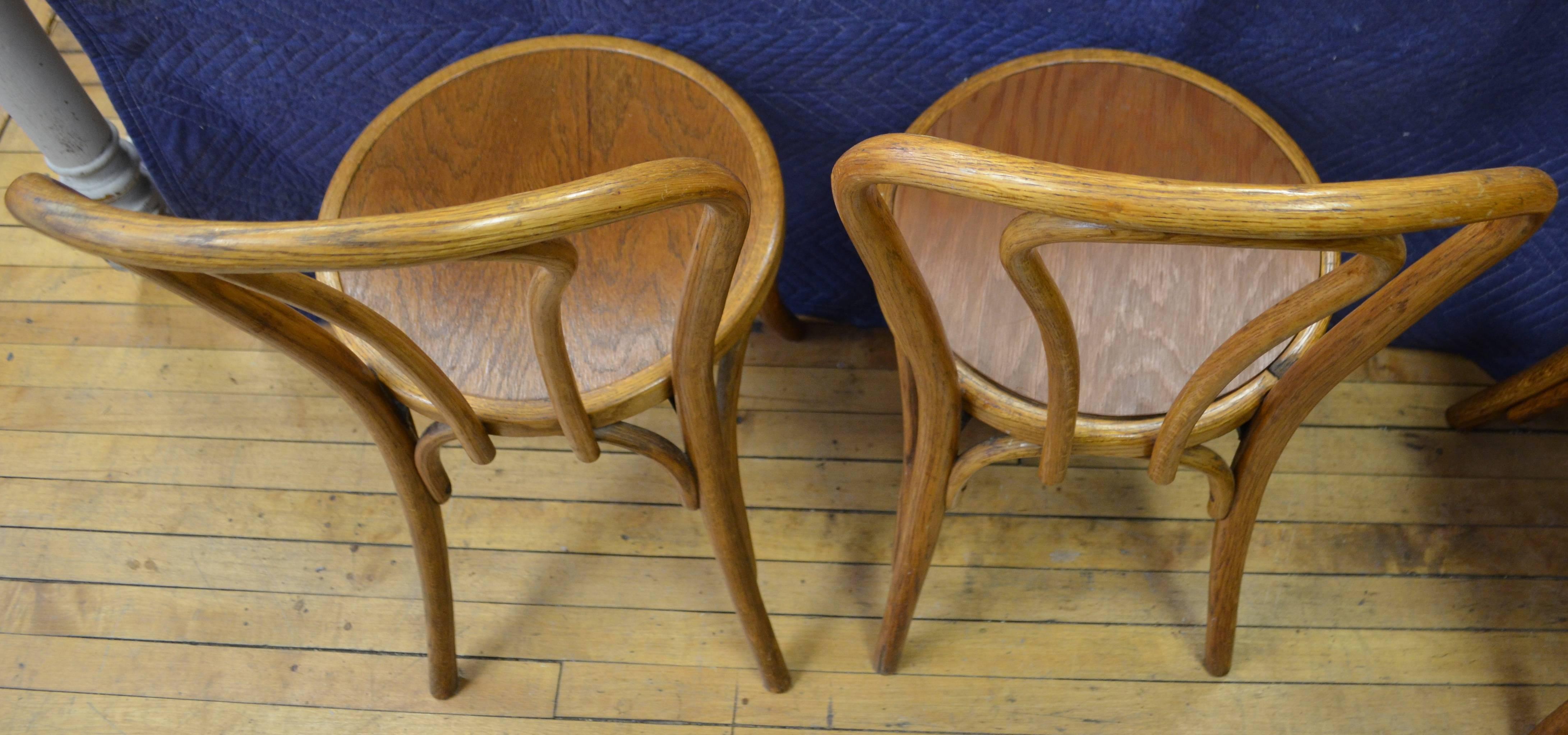 Bentwood Dining Chairs 'Set of Eight' of Solid Oak with Plywood Seats from 1947 4