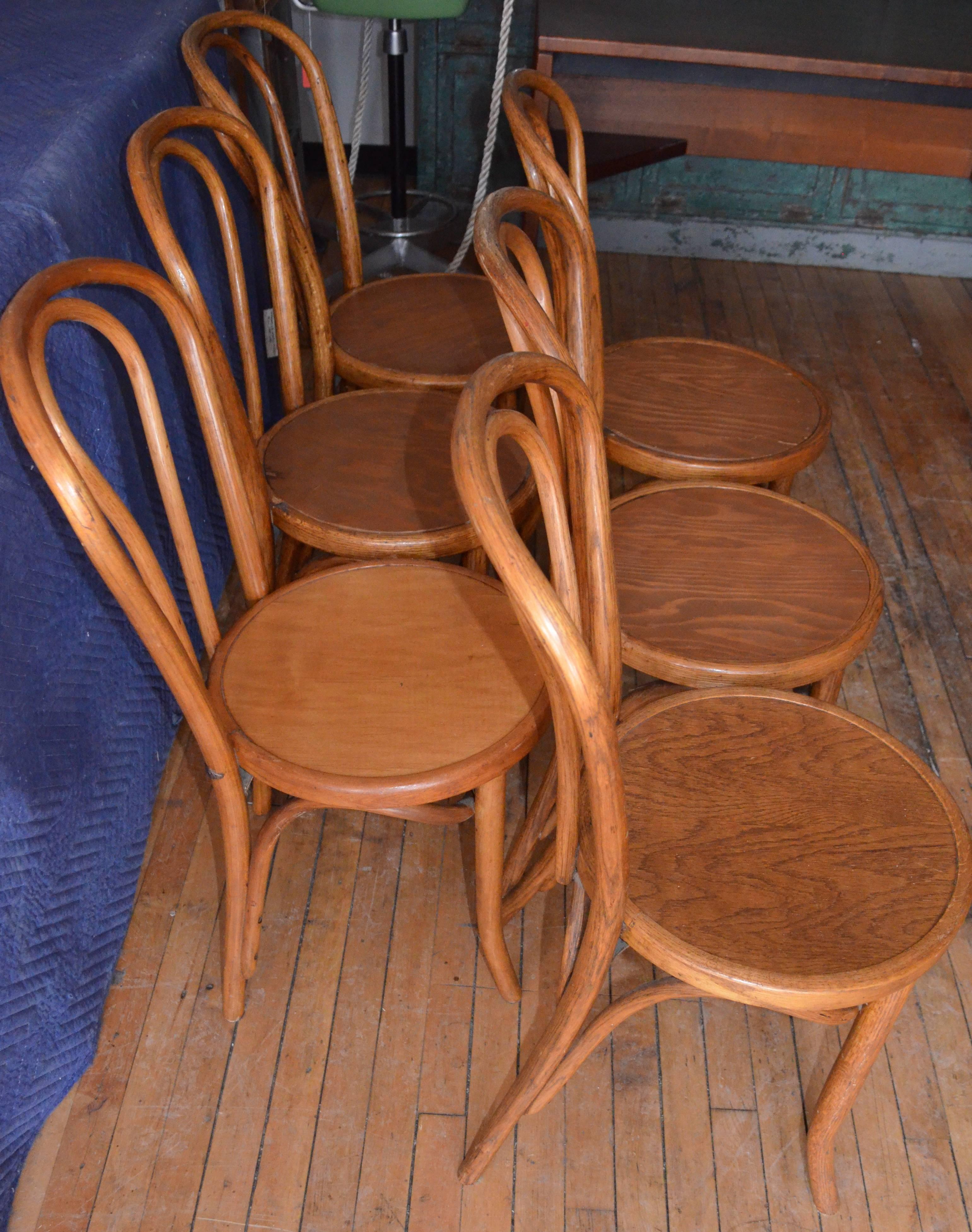 Mid-Century Modern Bentwood Dining Chairs 'Set of Eight' of Solid Oak with Plywood Seats from 1947