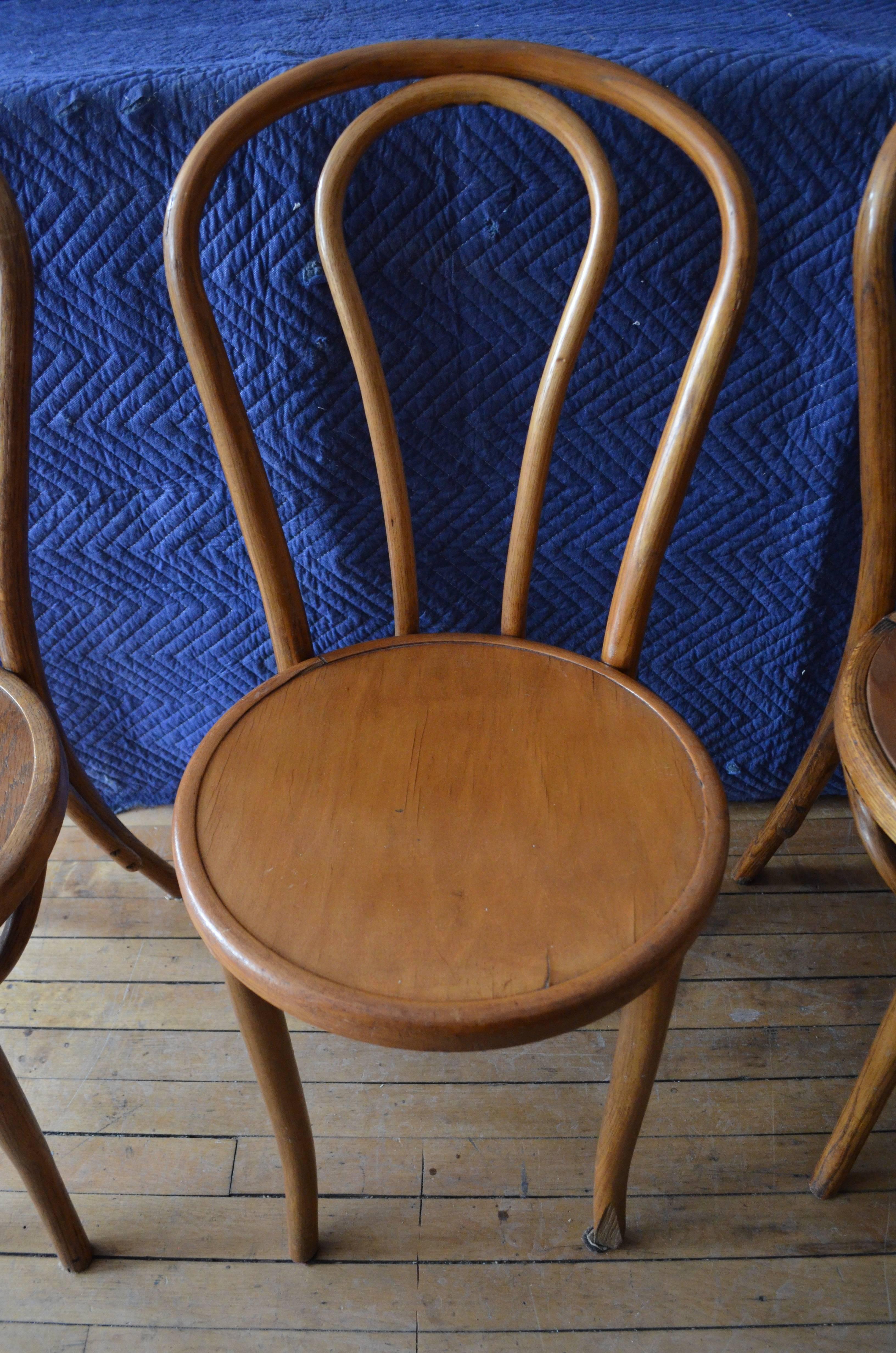 American Bentwood Dining Chairs 'Set of Eight' of Solid Oak with Plywood Seats from 1947