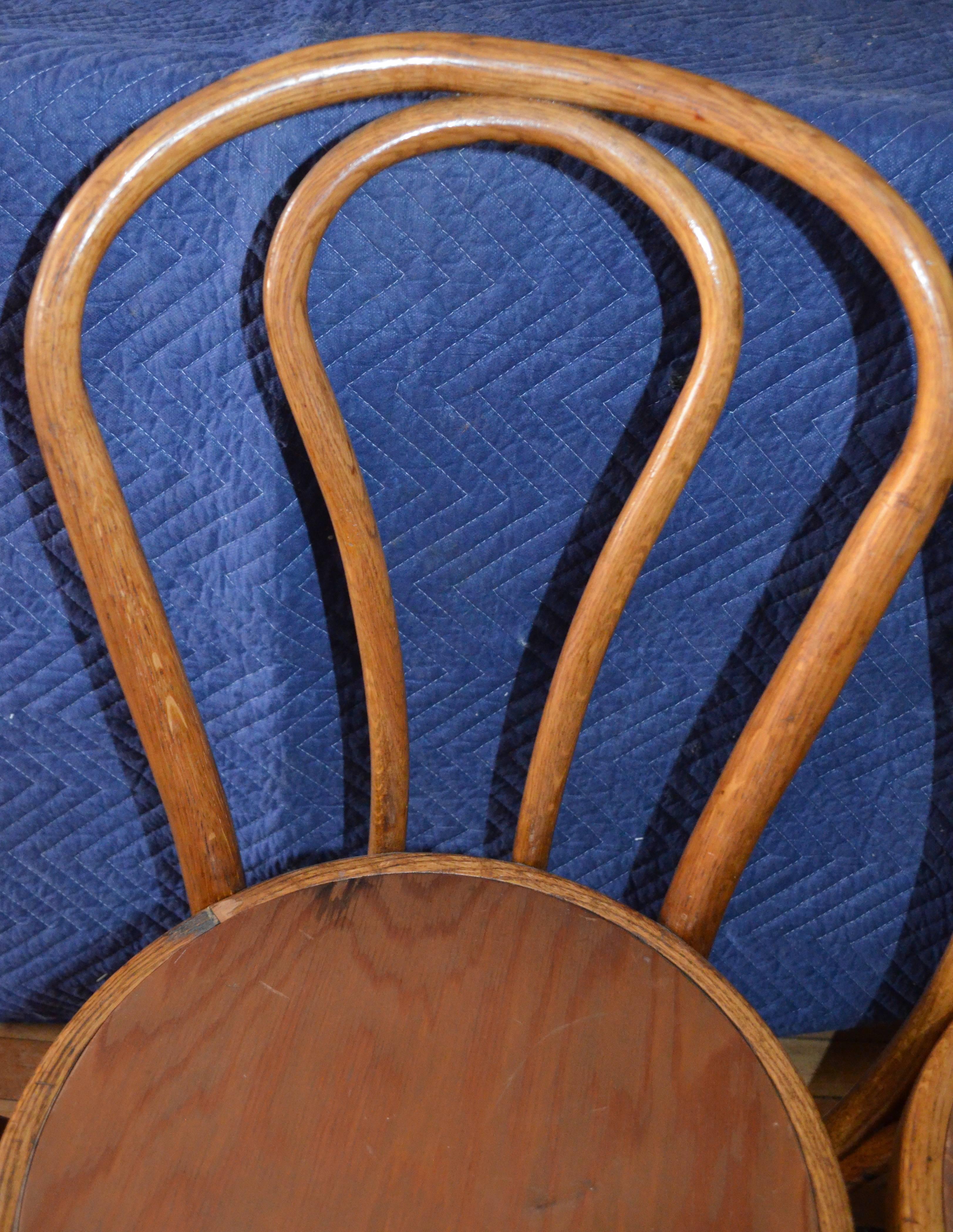 Bentwood Dining Chairs 'Set of Eight' of Solid Oak with Plywood Seats from 1947 2