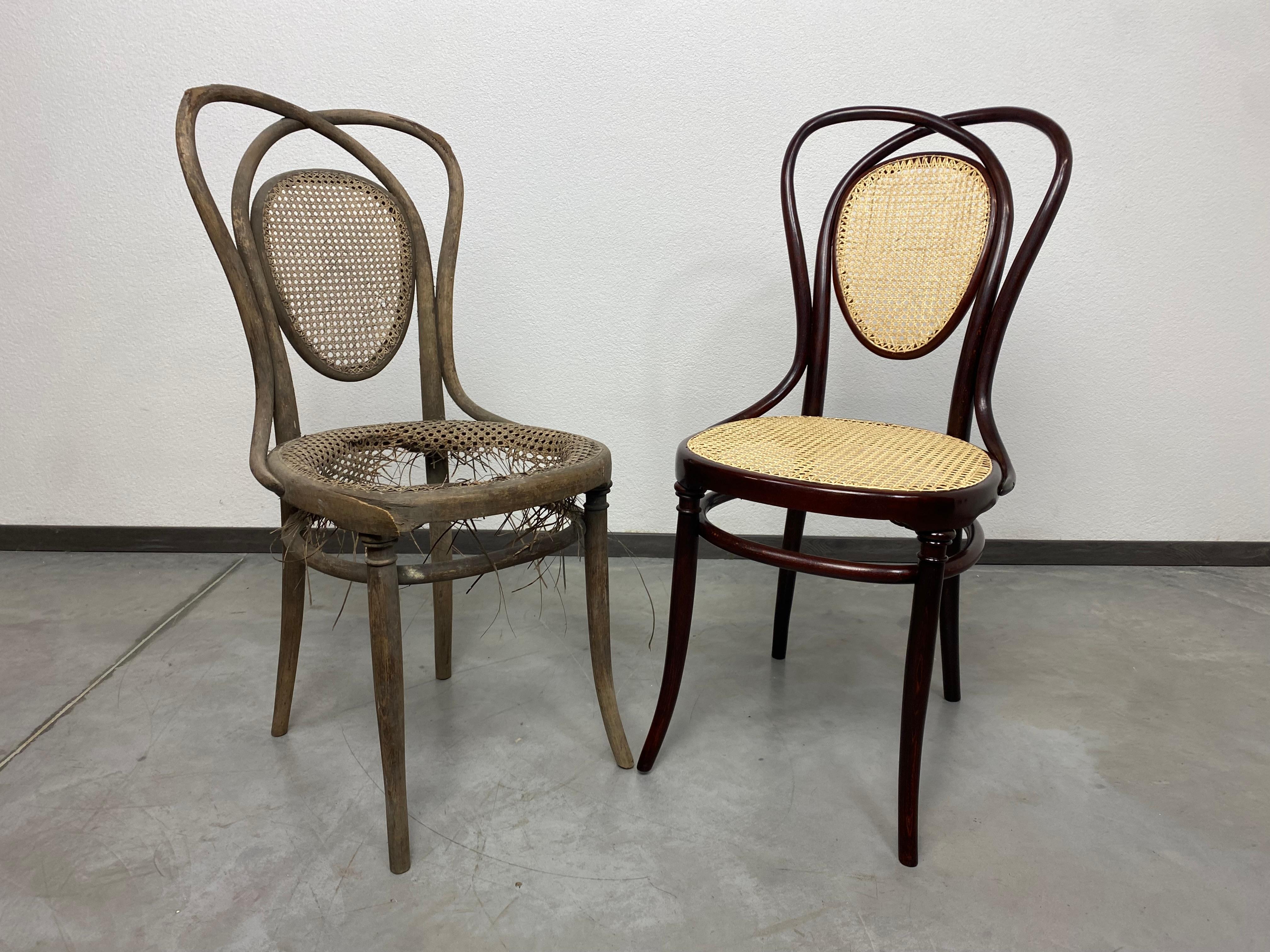 Chaise de salle à manger en bois courbé no.33 de J&J Kohn professionnellement teintée et repolie avec une nouvelle assise en rotin.