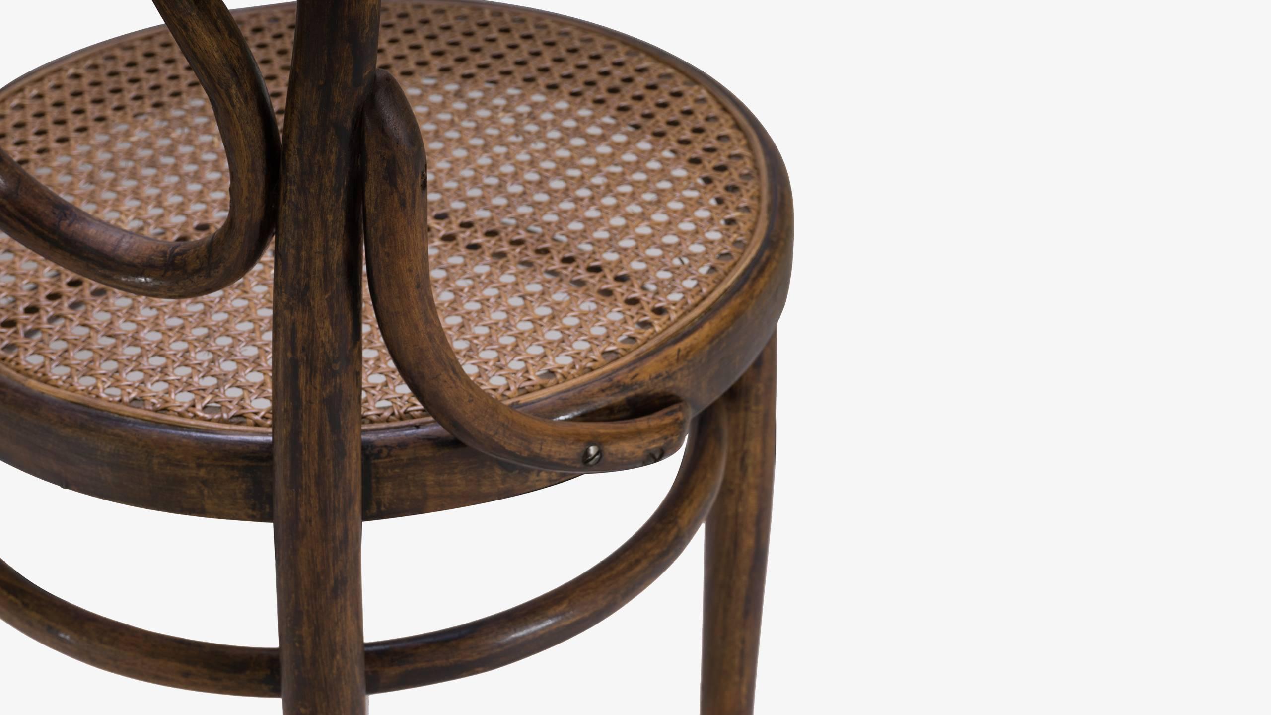 salvatore leone chair