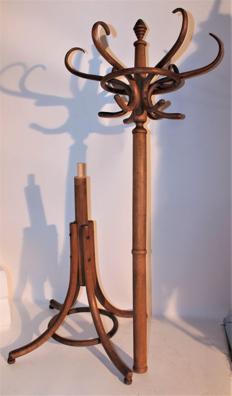 Bentwood Hat and Coat Stand at 1stDibs bentwood hat stand