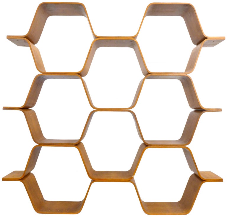 Bentwood Shelving Unit or Room Divider at 1stDibs